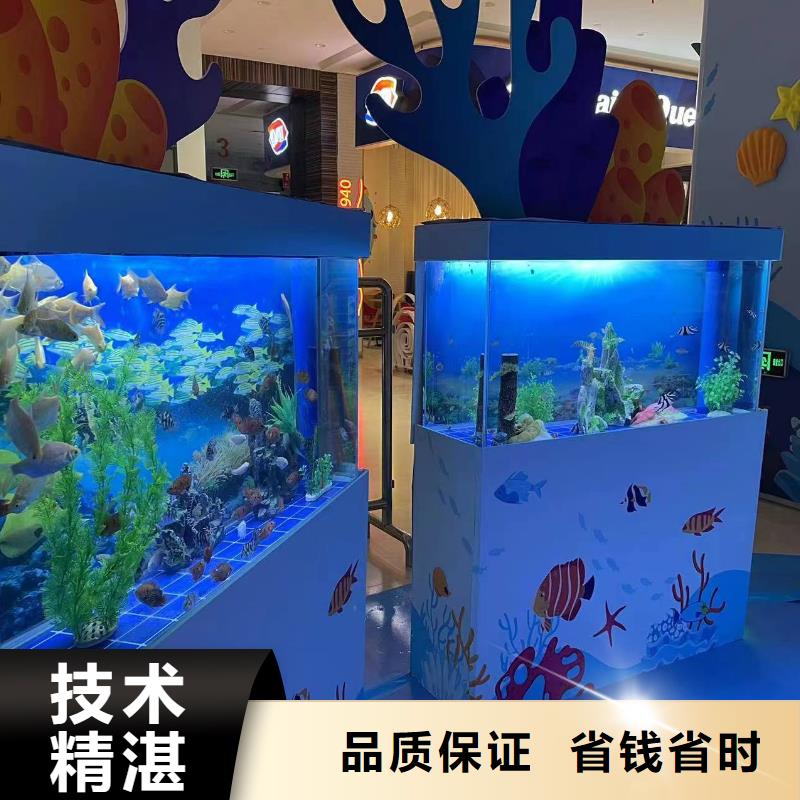邵陽新寧企鵝展覽價格合理