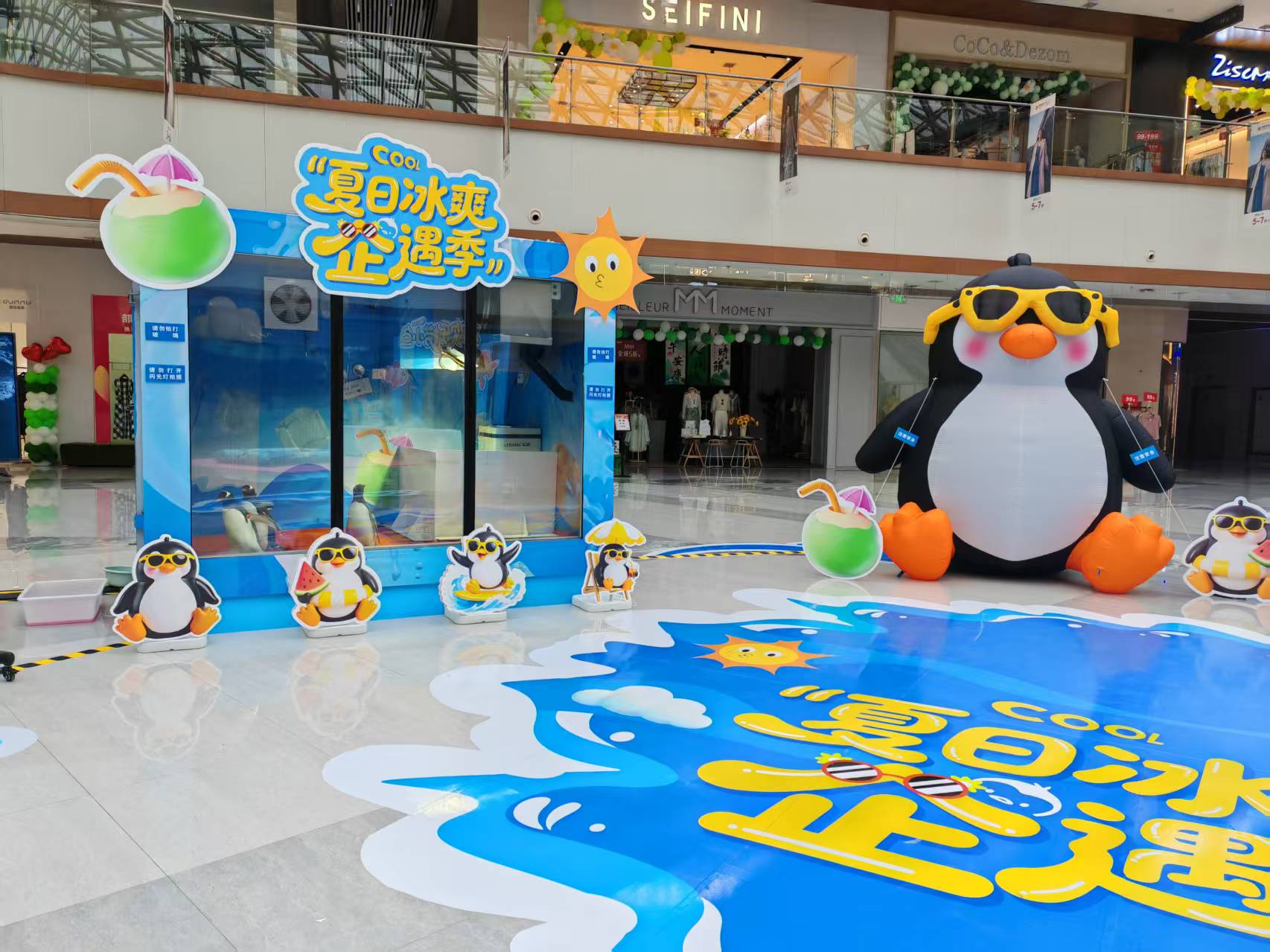 企鵝出租-高質(zhì)量企鵝出租