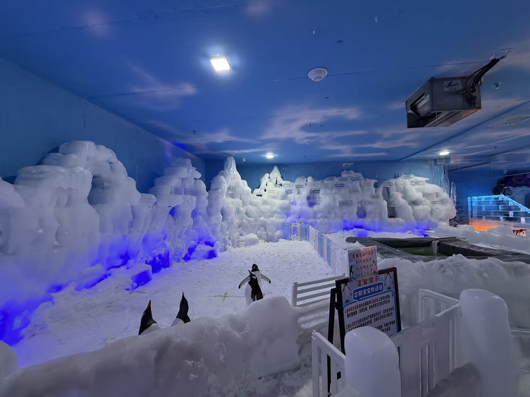 承德隆化帝企鵝 廠商