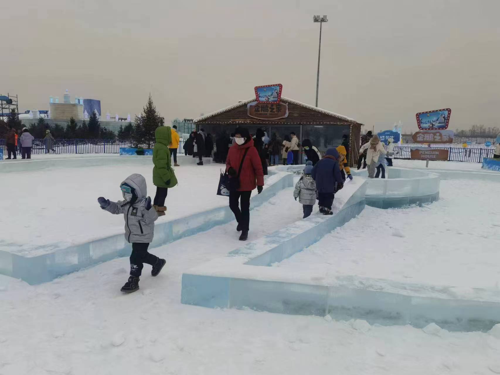 保定曲陽(yáng)信譽(yù)好的企鵝展覽公司