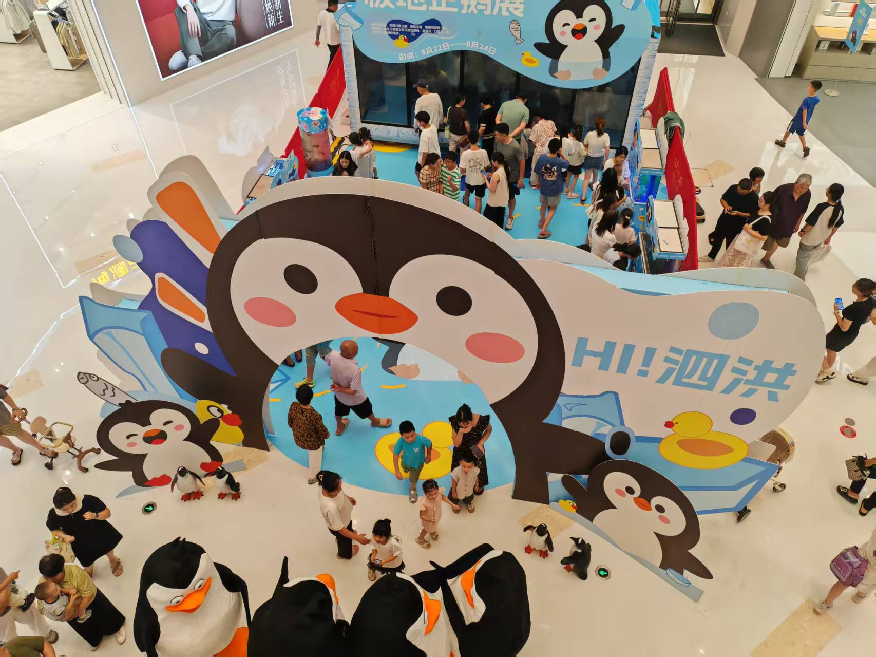 九江廬山企鵝出租企業(yè)-質(zhì)量過硬