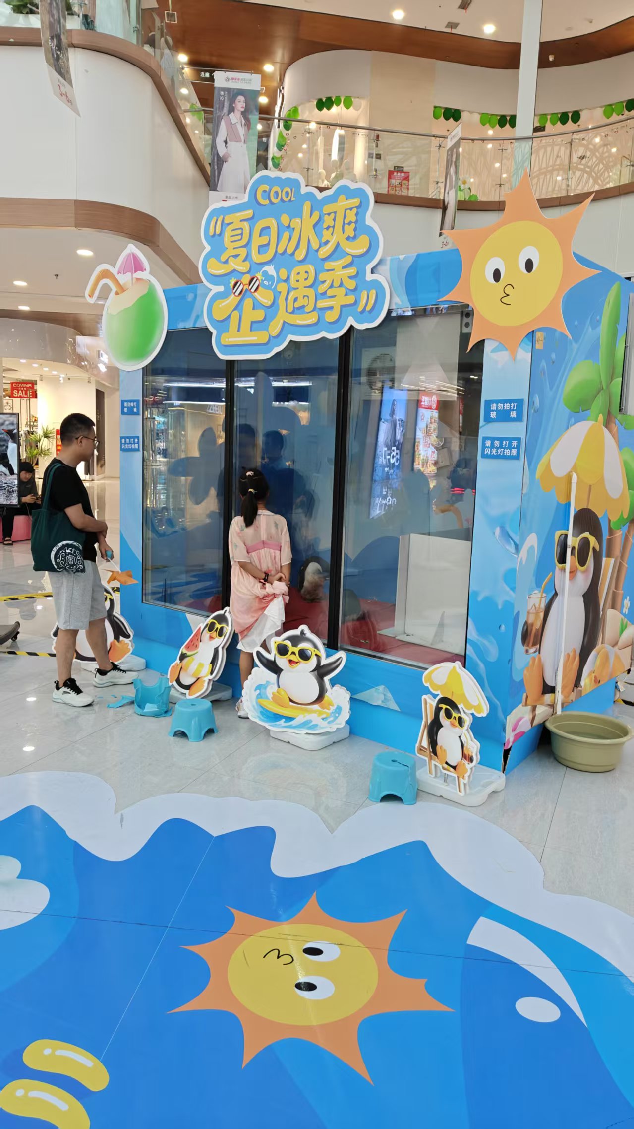 伊犁生產(chǎn)企鵝出租的批發(fā)商