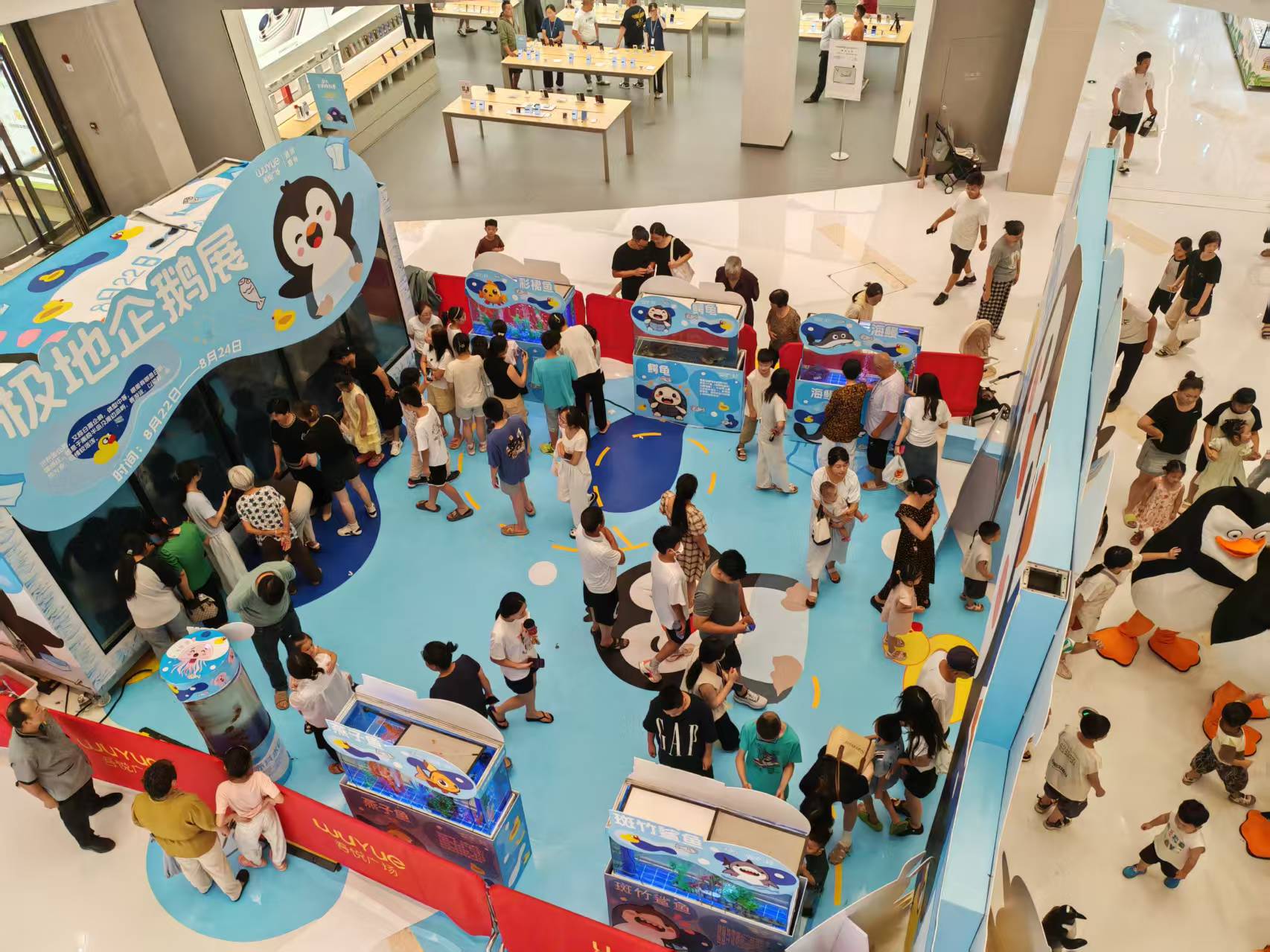 企鵝展覽庫(kù)存充足