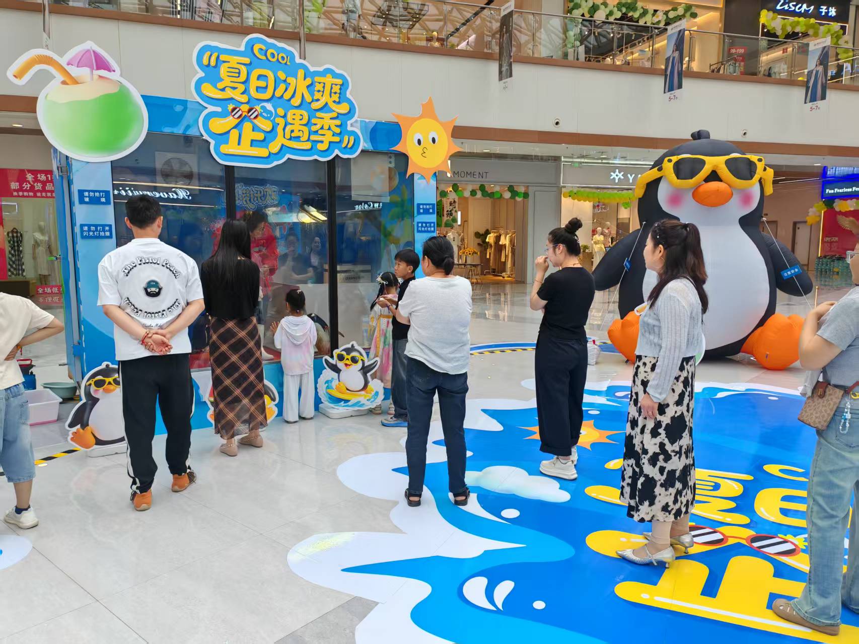 帝企鵝 全網(wǎng)低價