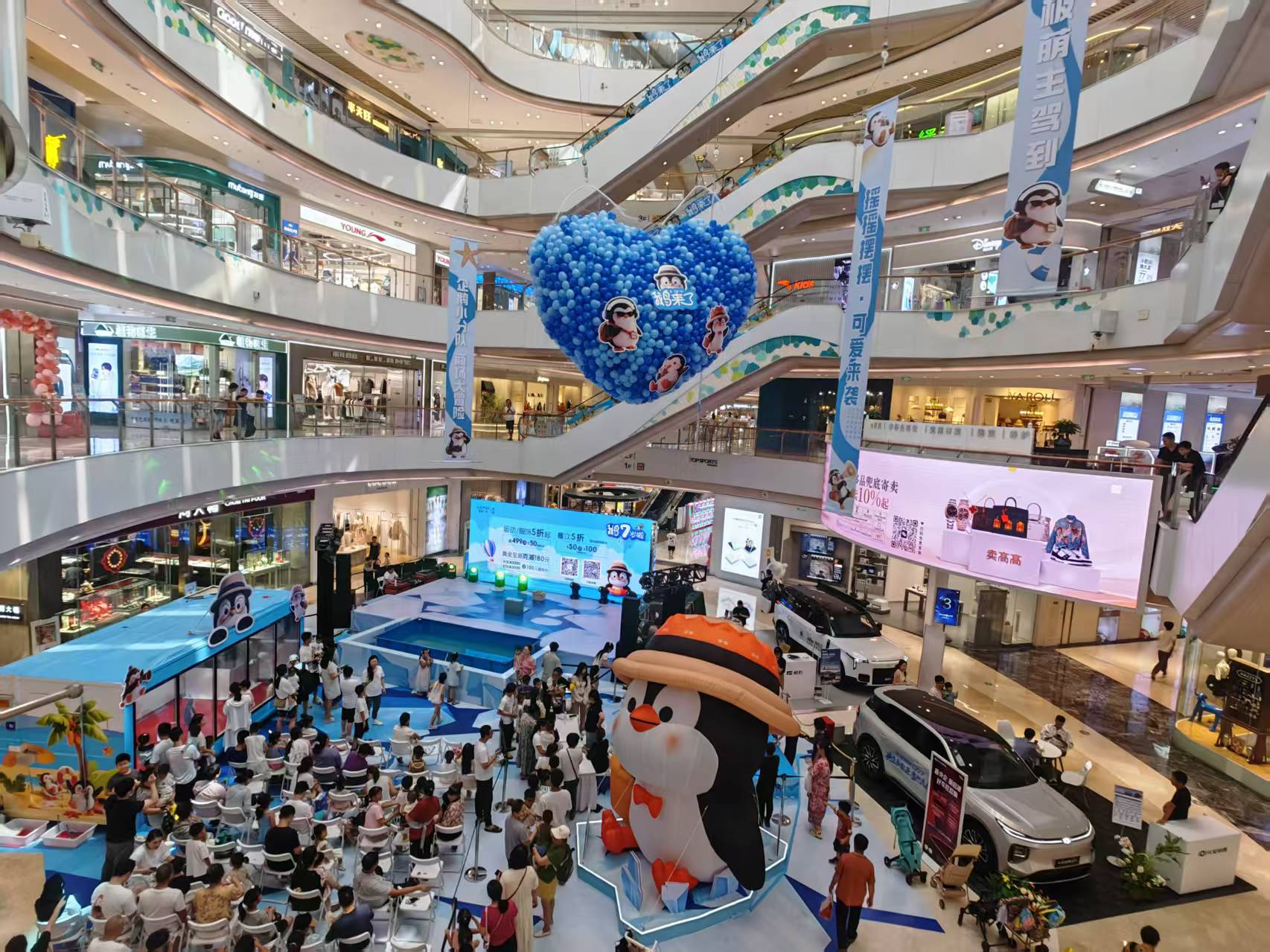 有現(xiàn)貨的德保企鵝出租廠家