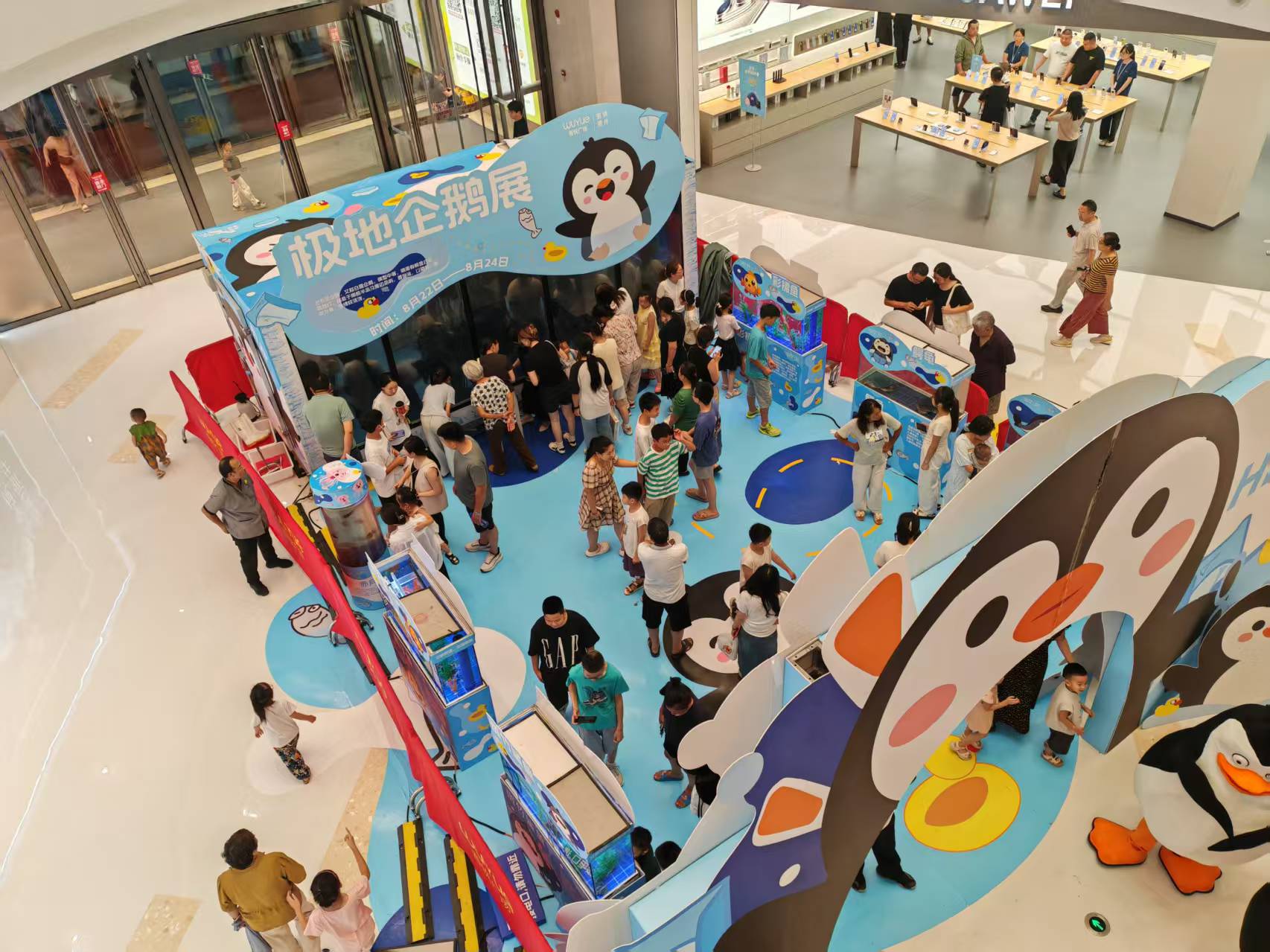 龍巖武平企鵝出租-企鵝出租性價比高