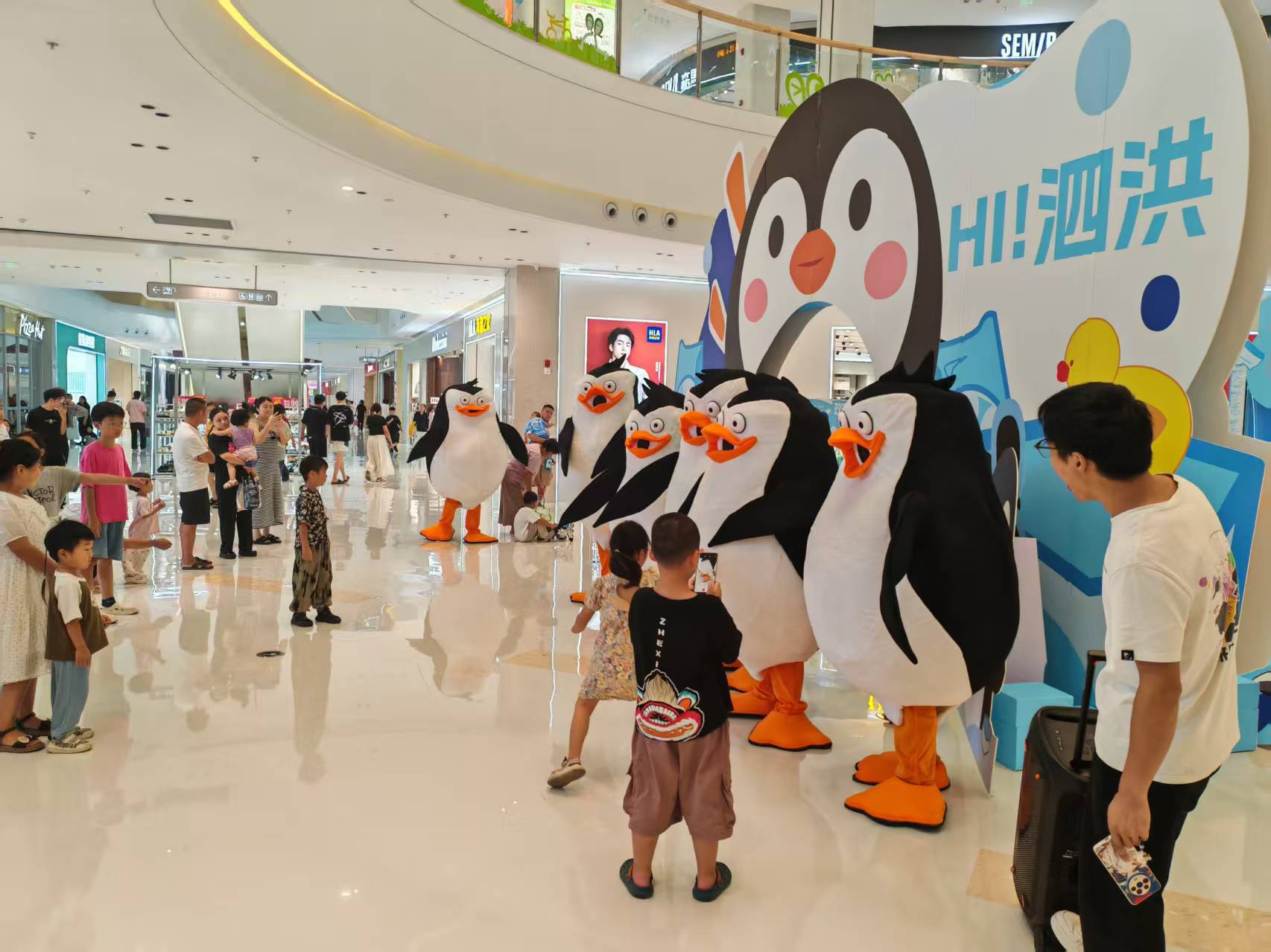 襄陽(yáng)襄城質(zhì)優(yōu)價(jià)廉的企鵝展覽基地