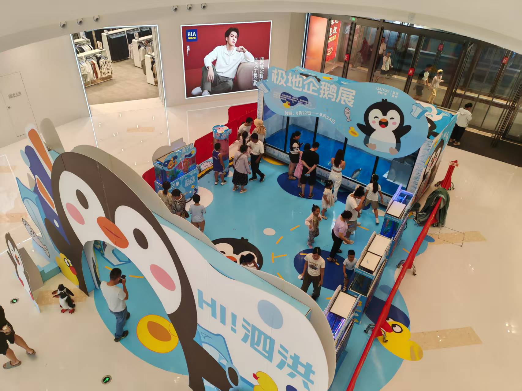 優(yōu)選:巴布亞企鵝企業(yè)