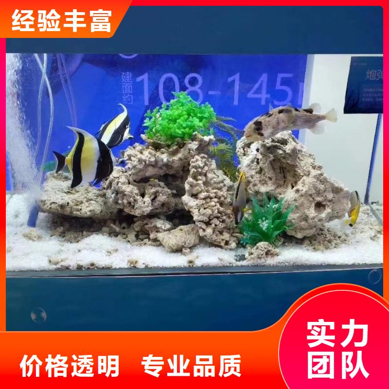 海洋生物鱼缸展租赁活动庆典同城制造商