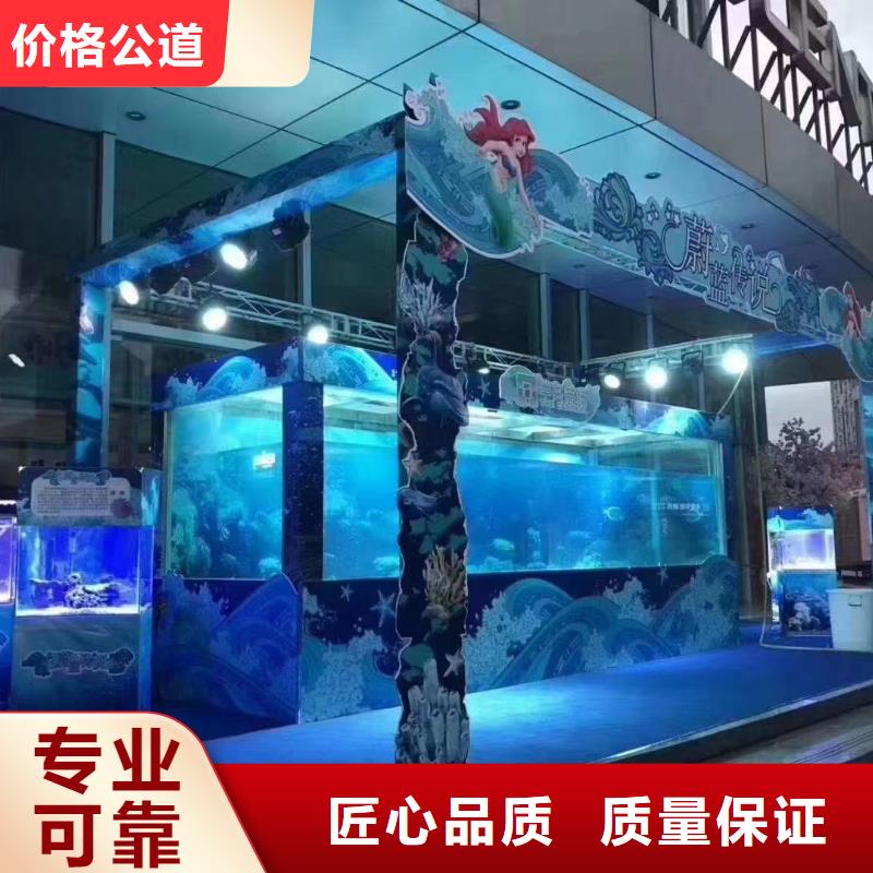 海狮表演出租主题展览专业承接