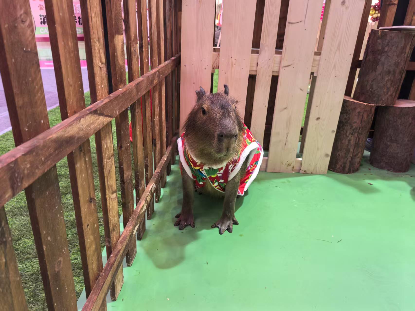 出租出廠價(jià)