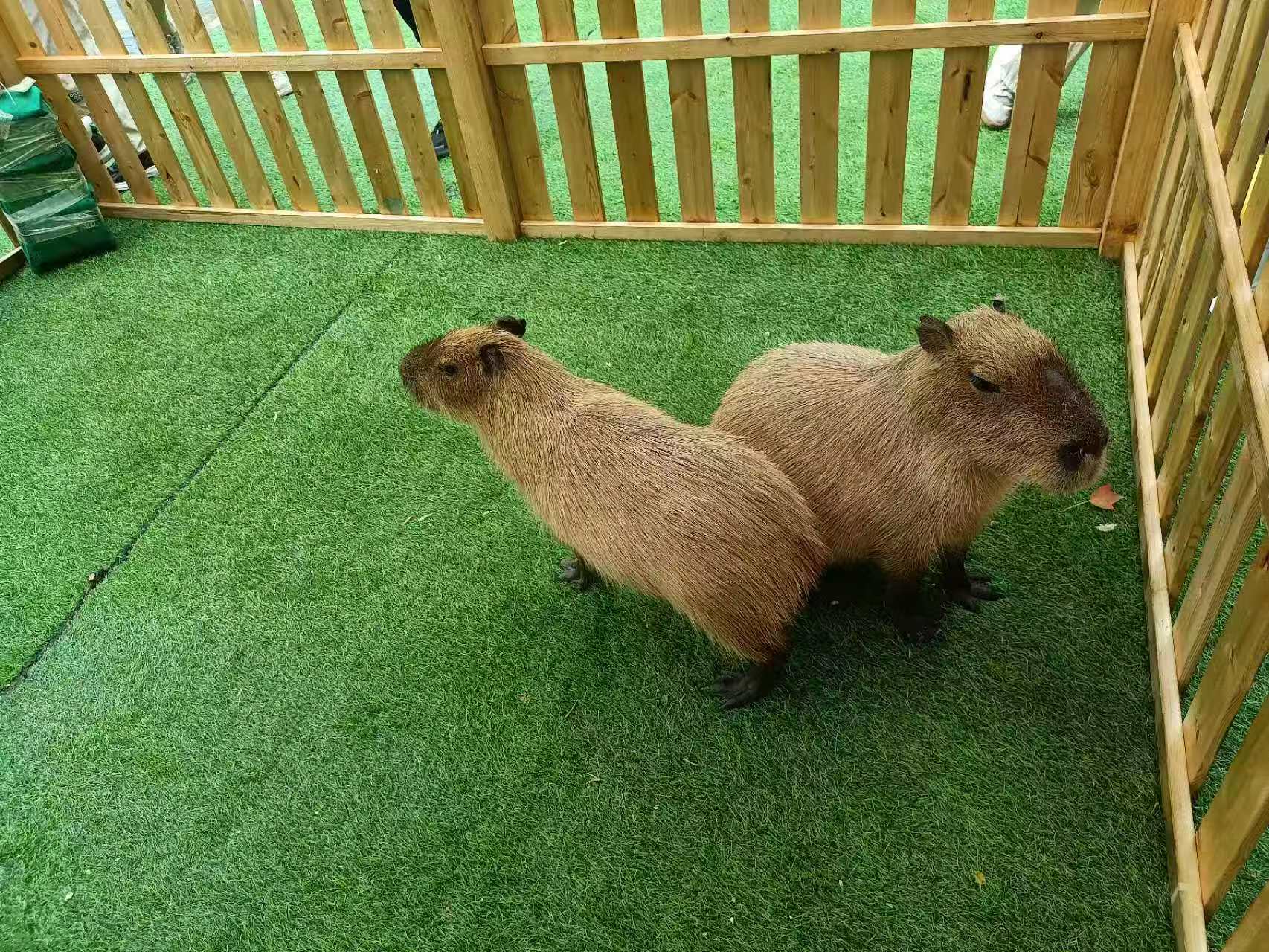 銅仁萬山企業(yè)團(tuán)建行情