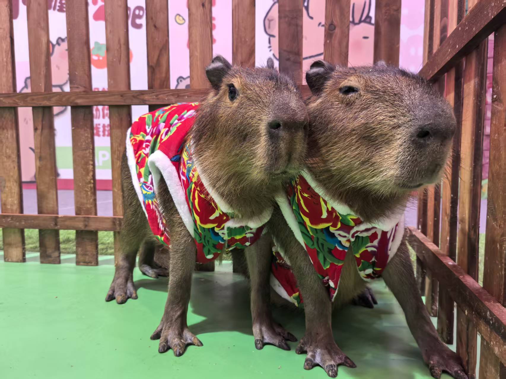 租賃資質(zhì)核查熱賣中