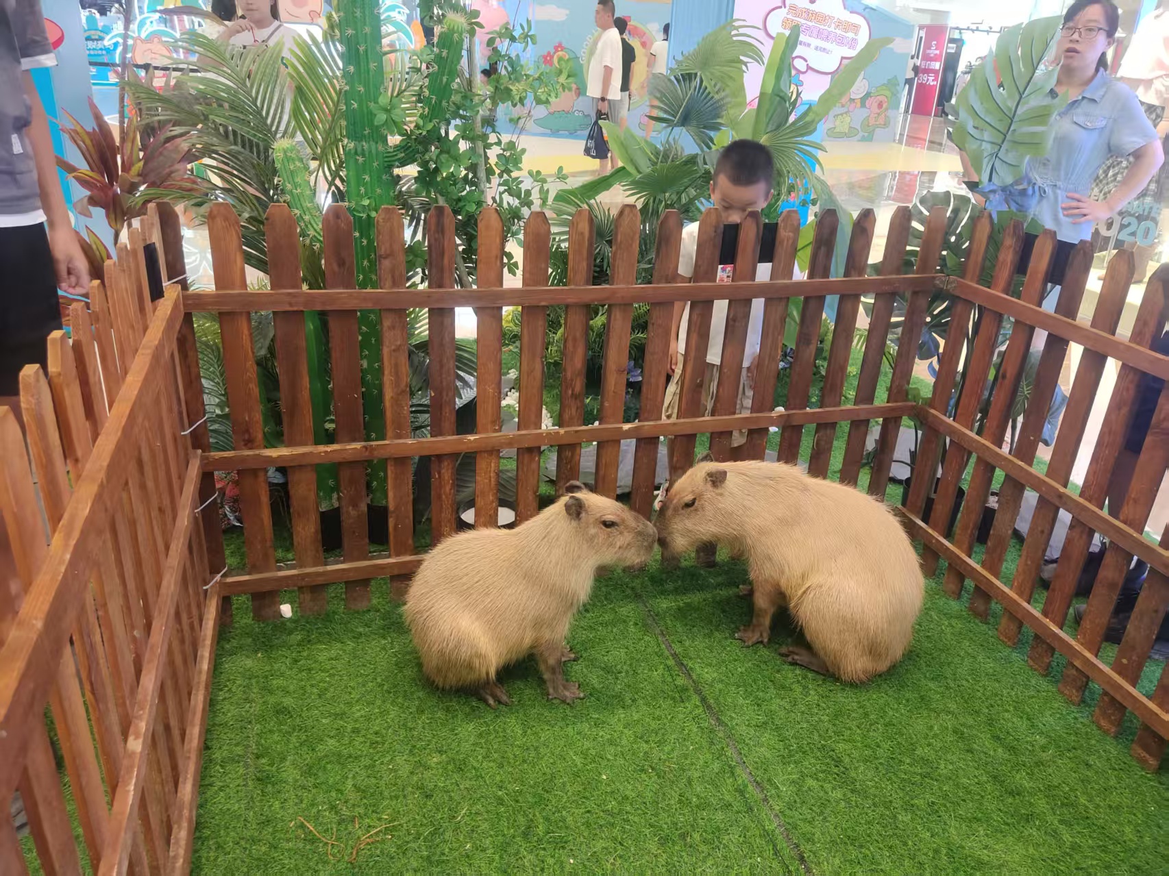 全年齡段適配廠家-德陽(yáng)綿竹