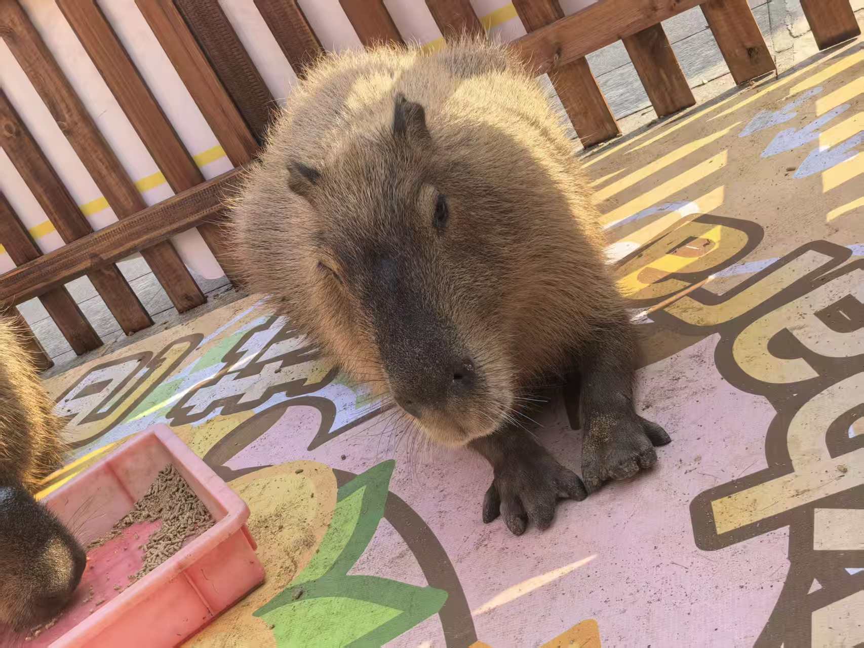 銷售企業(yè)團建的廠家