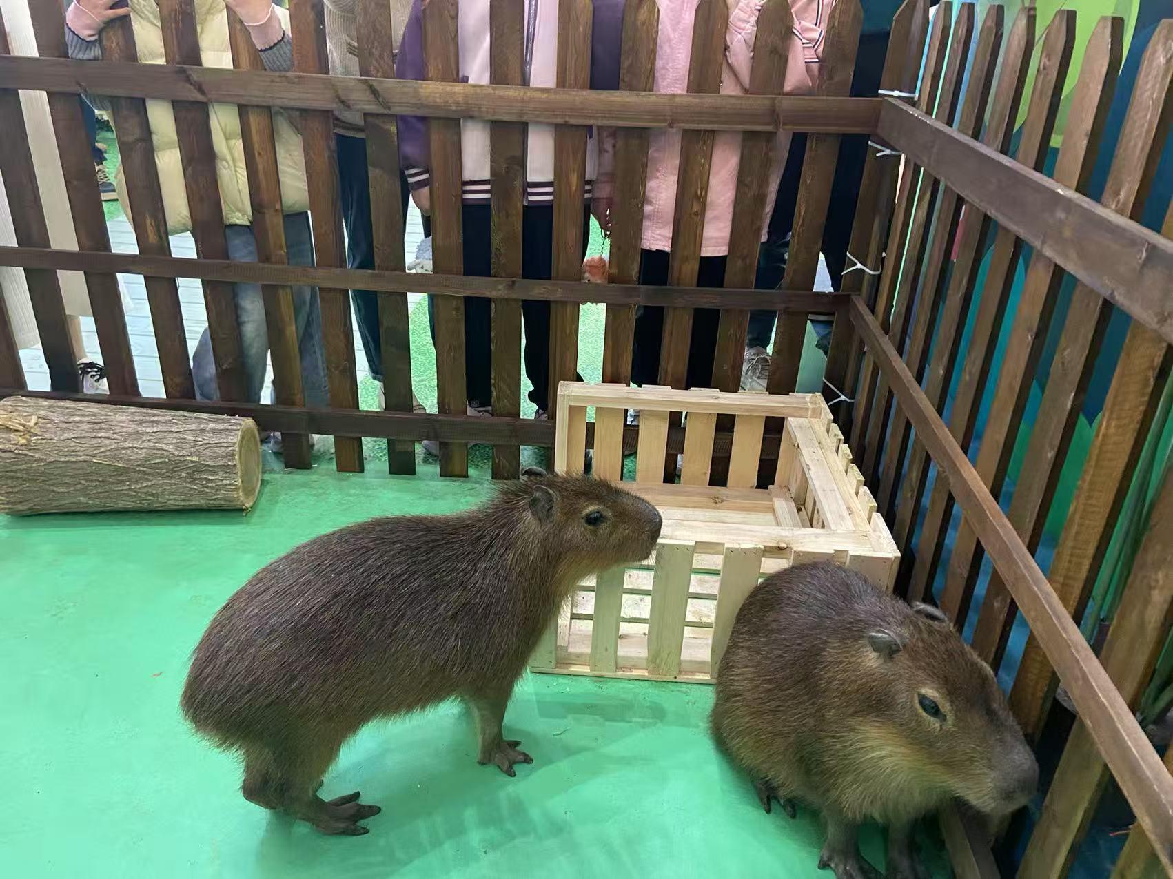 濱州濱城企業(yè)團(tuán)建-鉅惠來(lái)襲