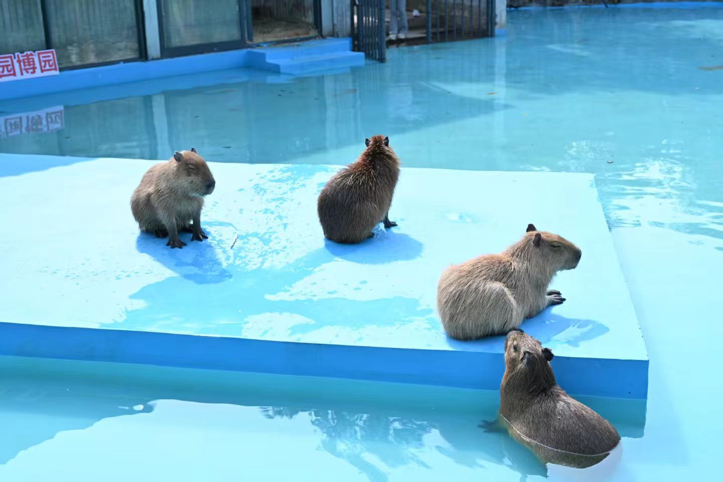 金華義烏批發(fā)策劃的公司