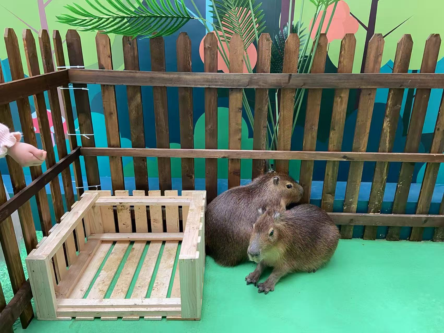 商丘出租優(yōu)勢有優(yōu)惠