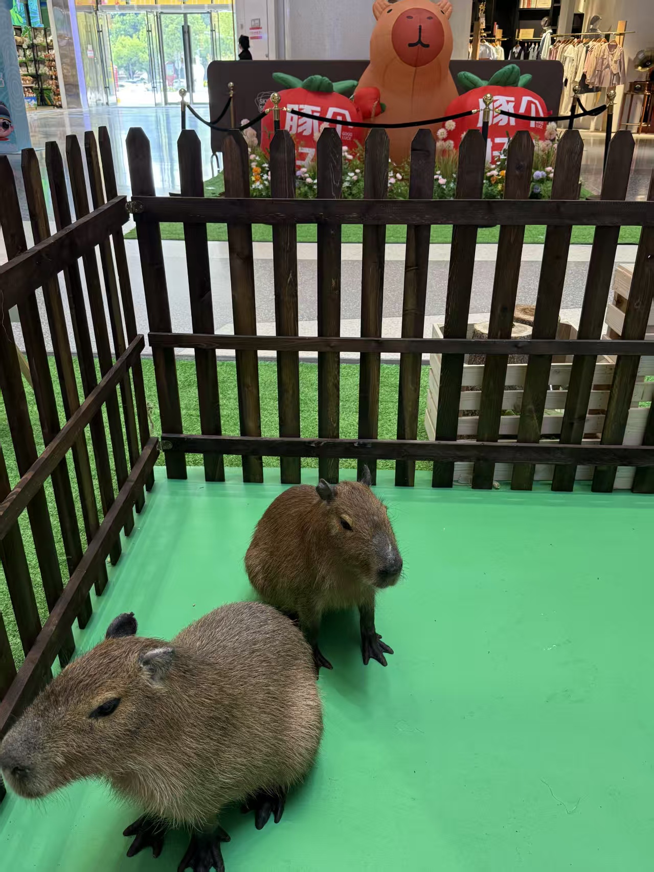 租賃資質(zhì)核查熱賣中