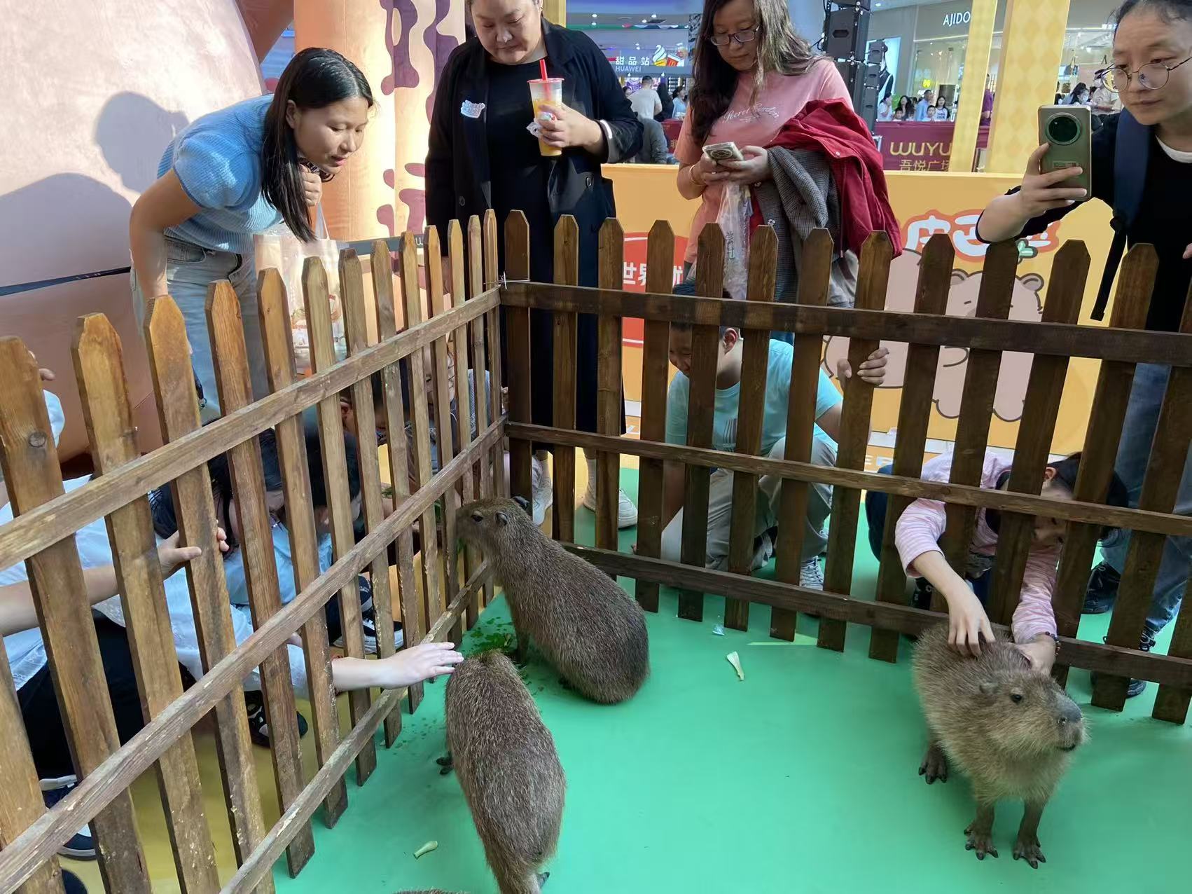 景區(qū)活動制造廠