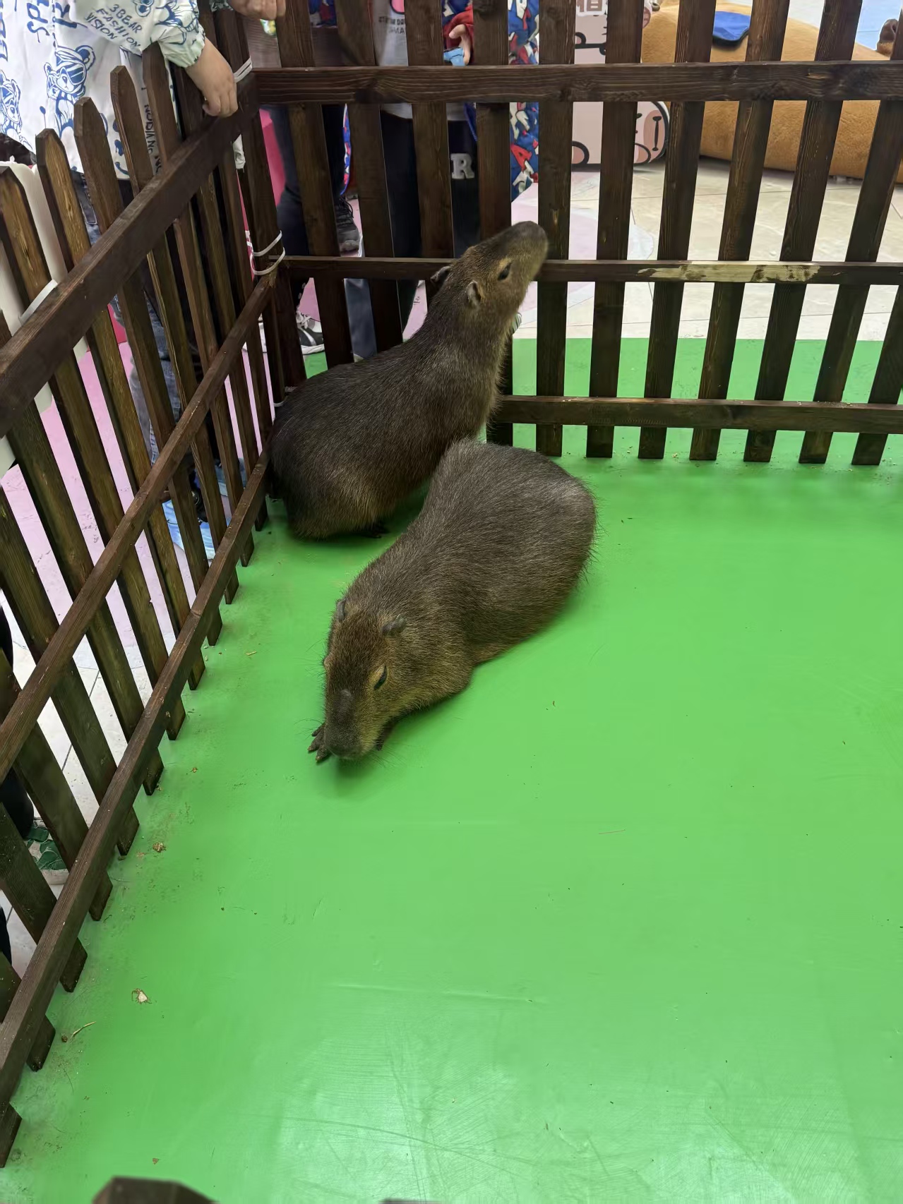 出租優(yōu)勢市場價格