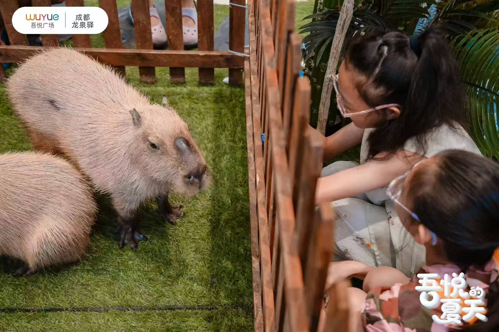 專業(yè)廠家直銷養(yǎng)殖基地