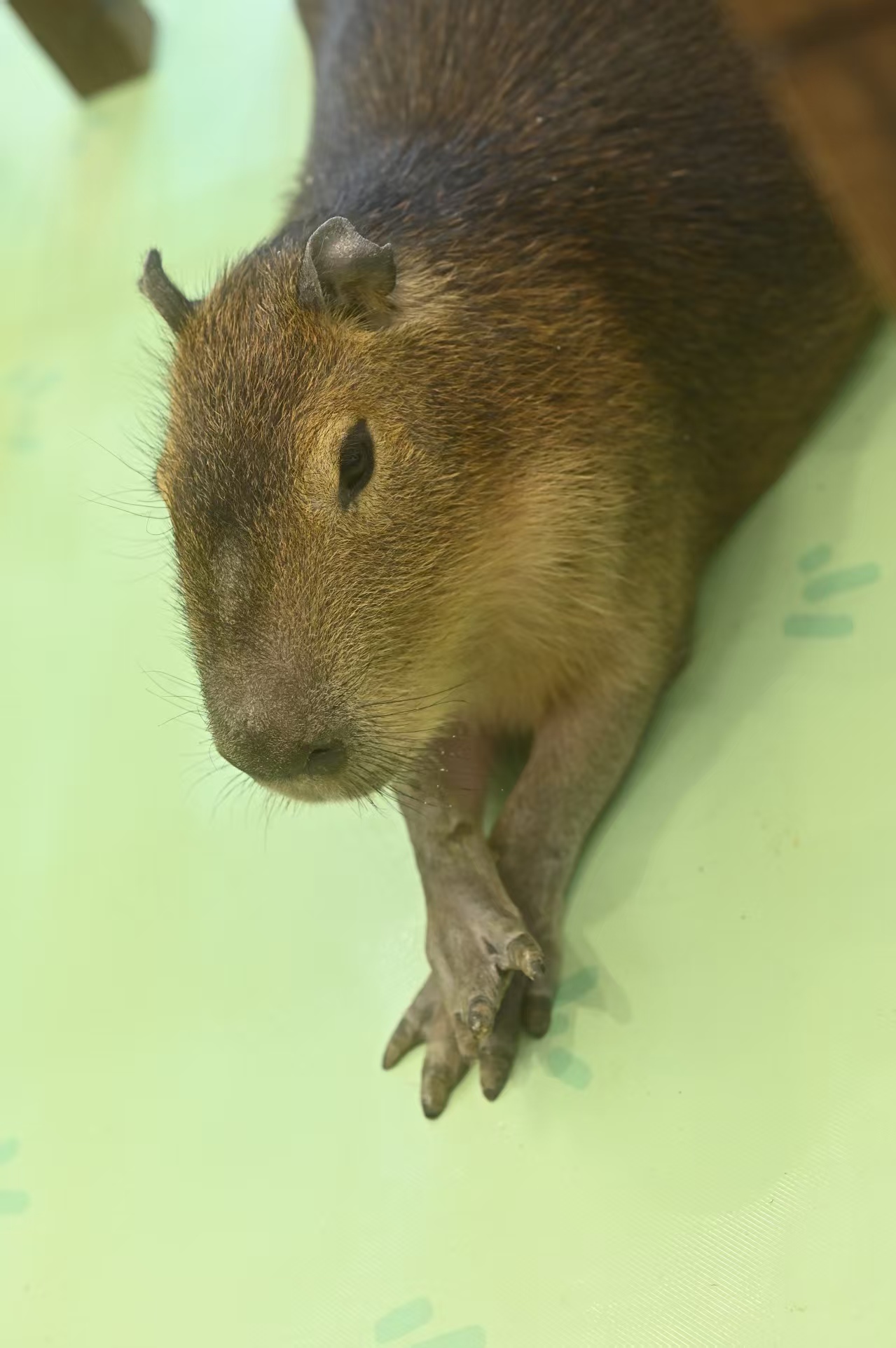 眉山青神生產(chǎn)企業(yè)團(tuán)建的銷(xiāo)售廠家