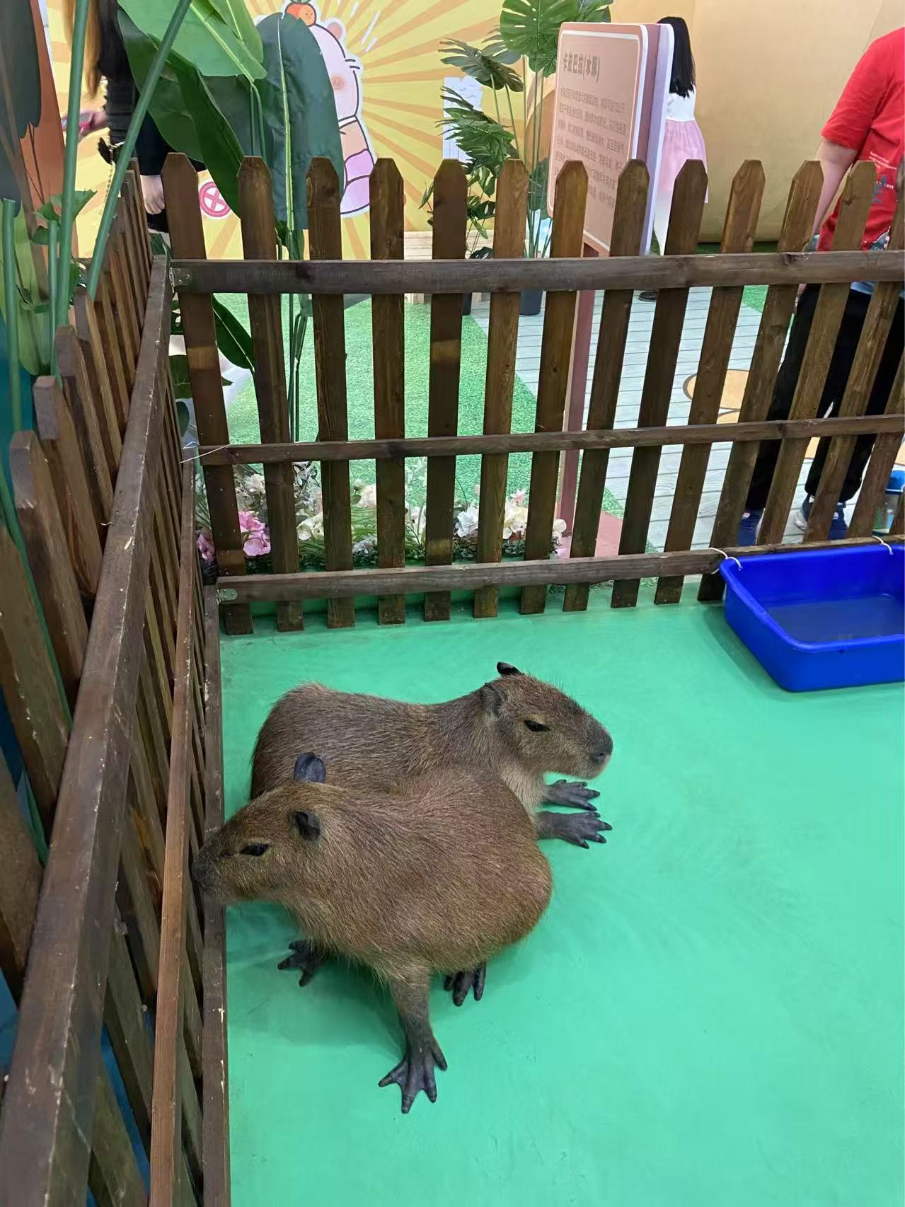 租賃資質(zhì)核查熱賣中