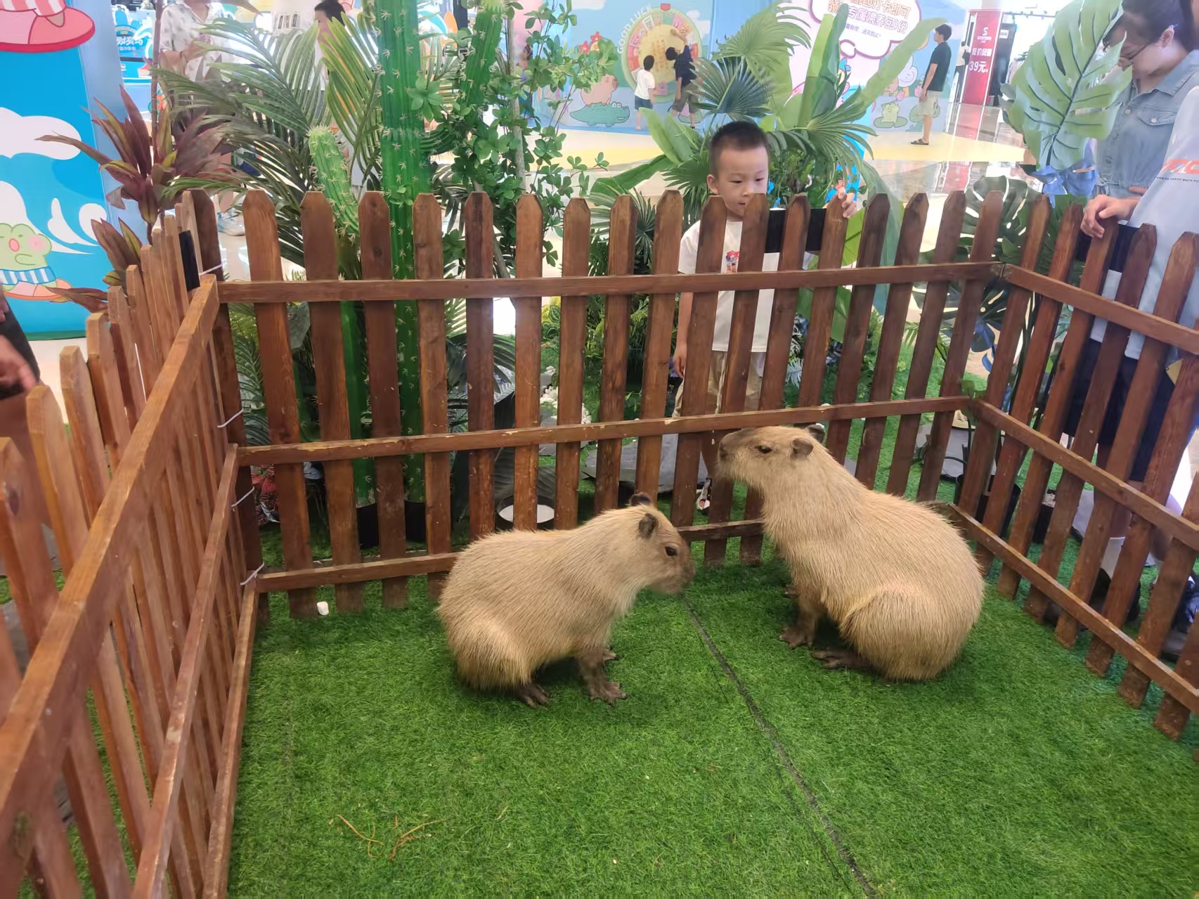 寧德古田采購(gòu)檢疫標(biāo)準(zhǔn)必看-售后保證