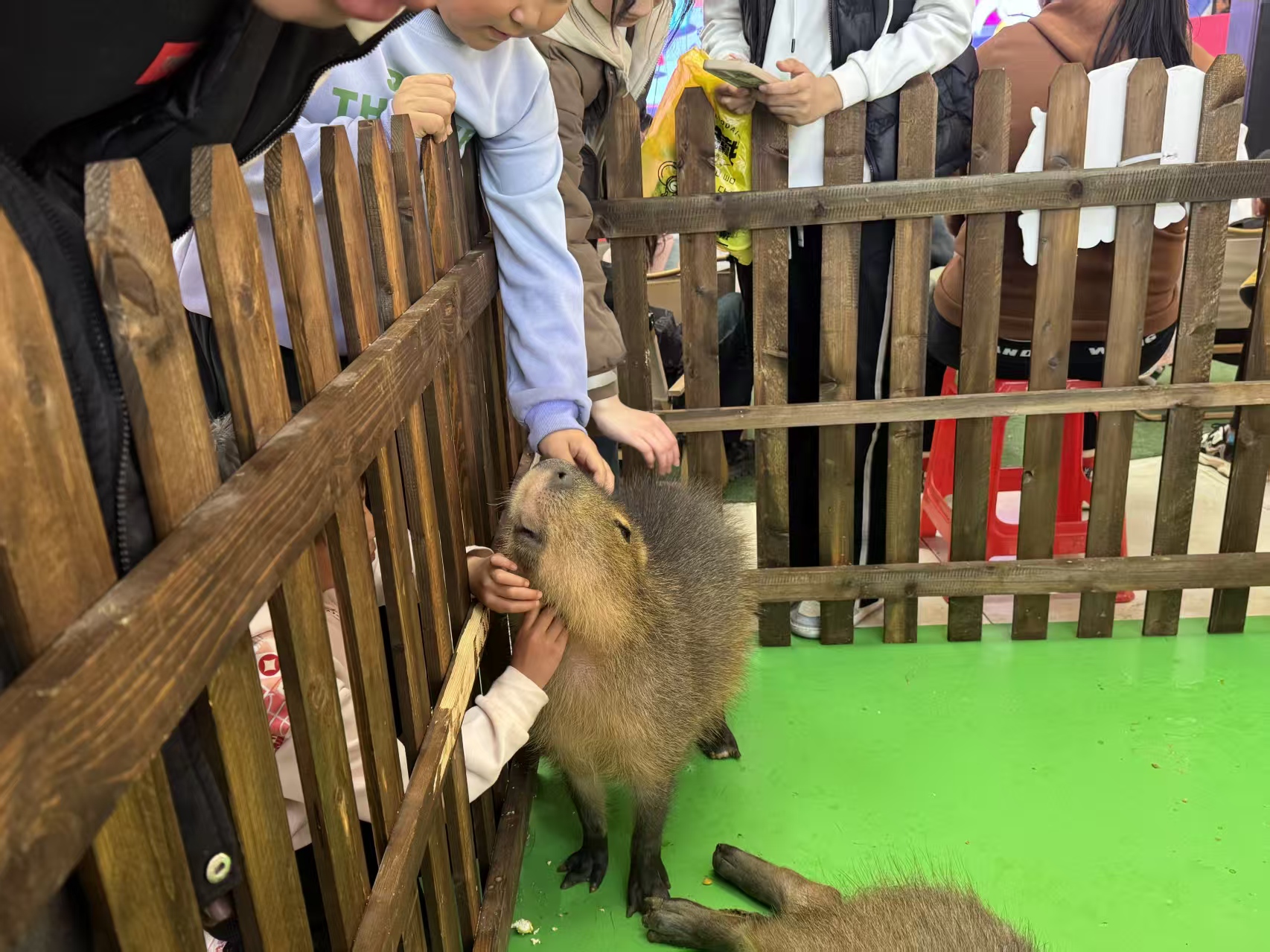 規(guī)格全的江西養(yǎng)殖基地本地廠家