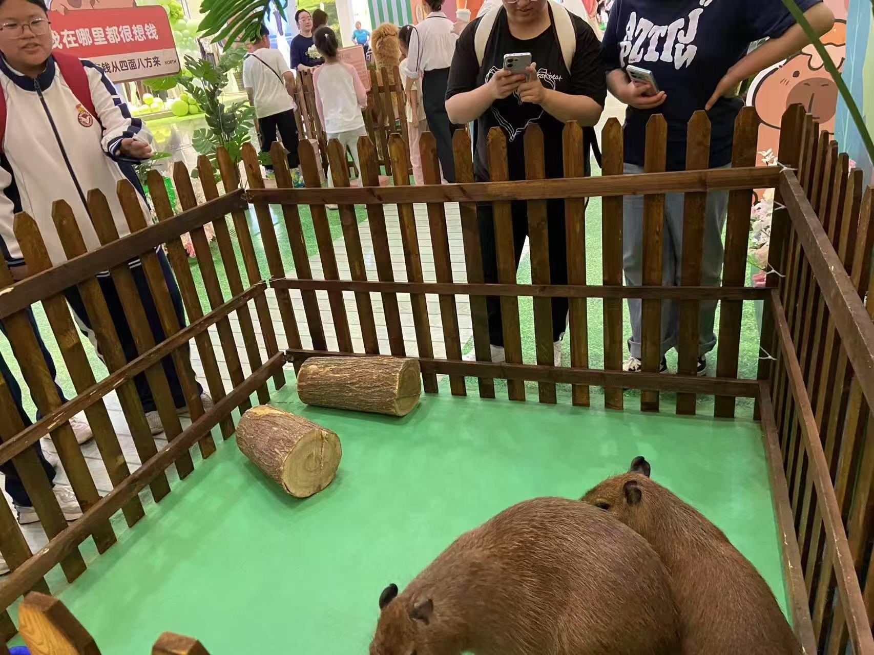 撫順東洲活動-活動廠家批發(fā)