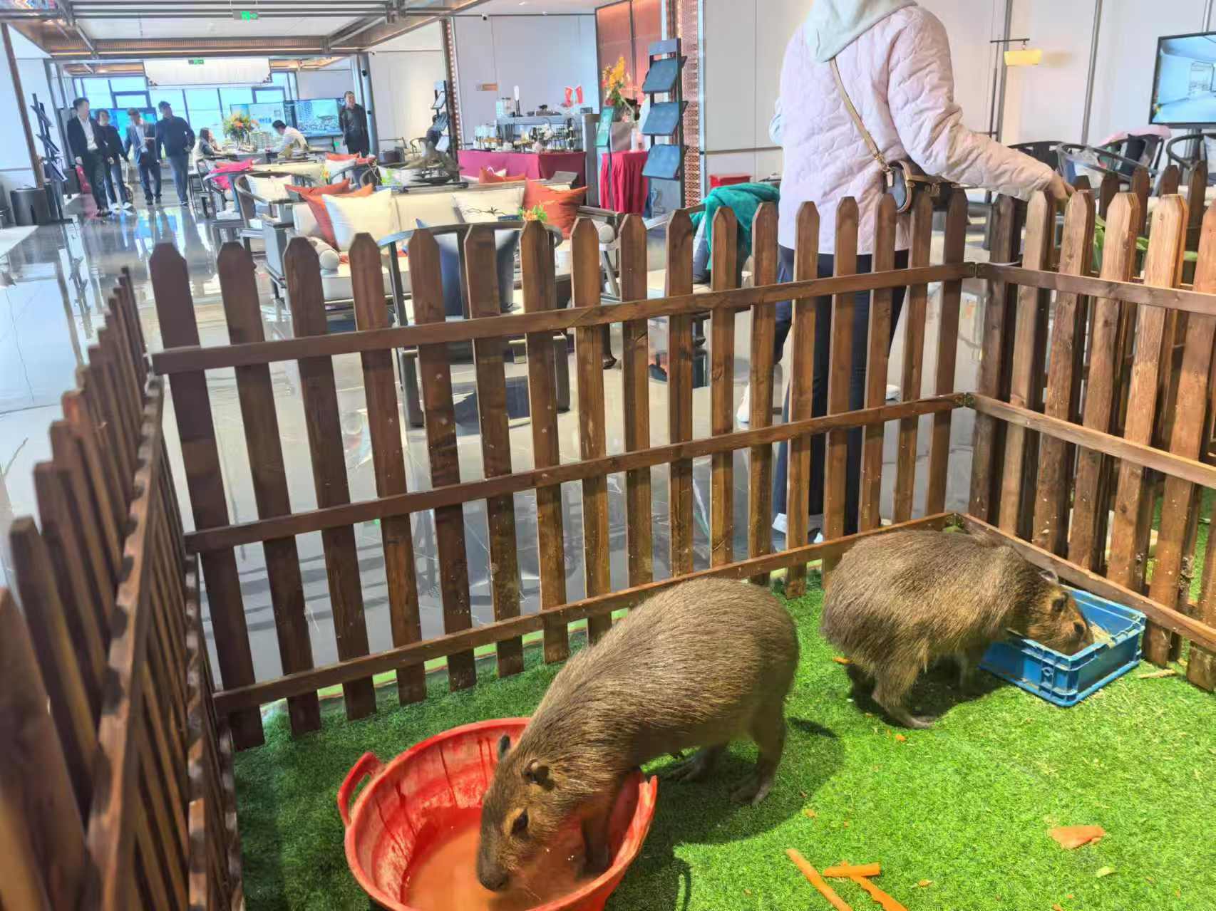 飼養(yǎng)員全國包郵