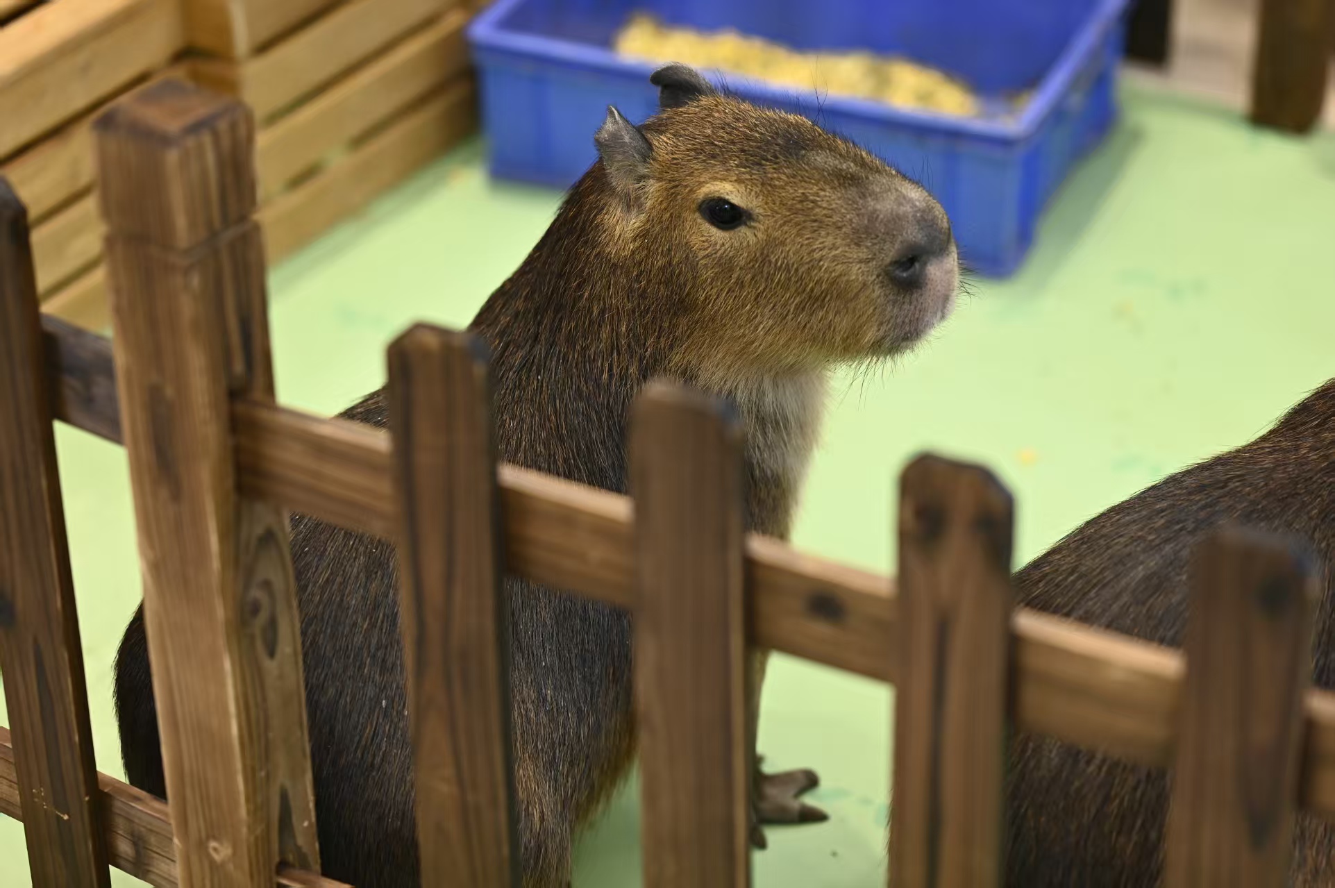 淮北相山出租一站式廠家