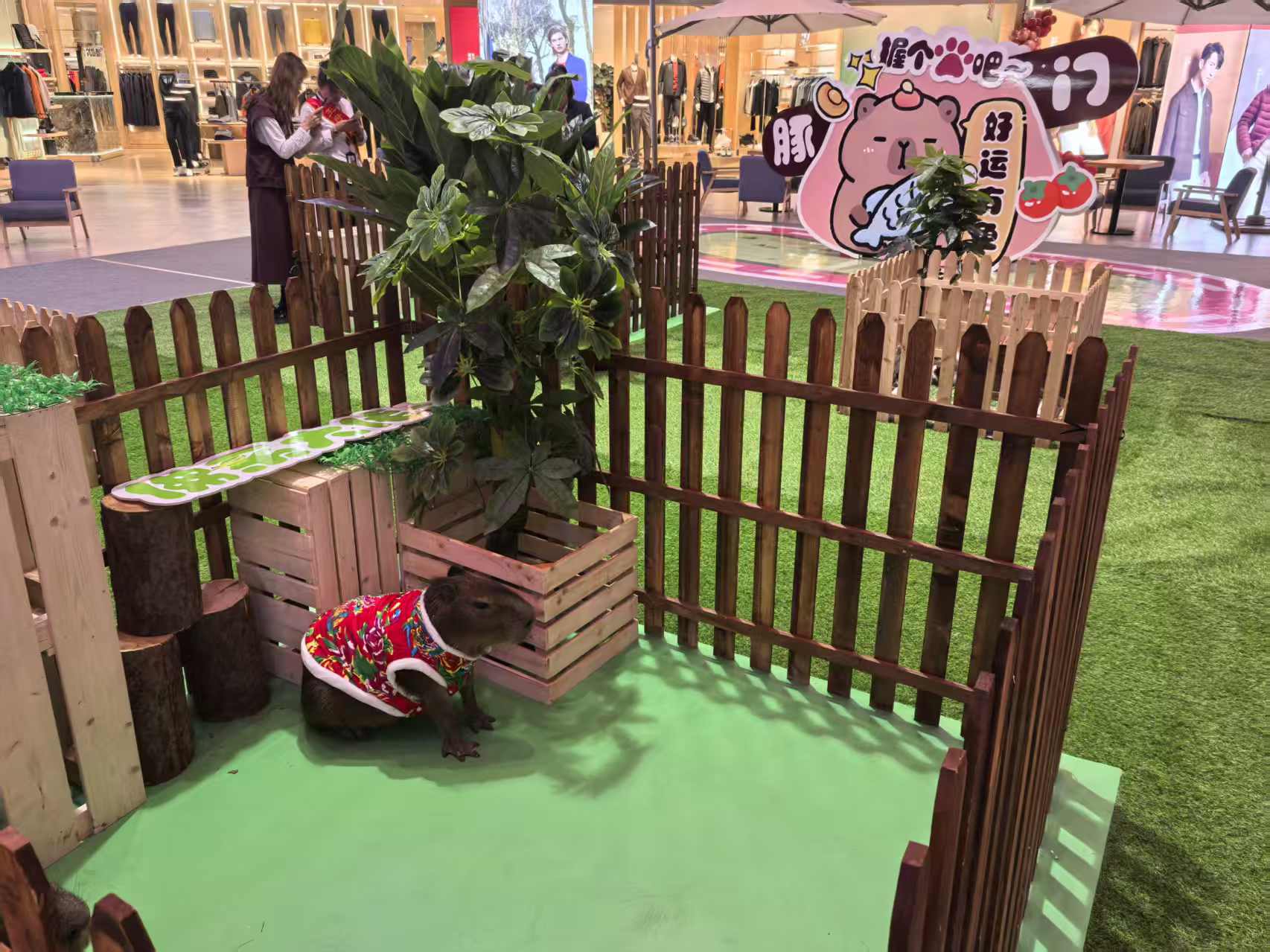 商場(chǎng)暖場(chǎng)歡迎新老客戶來(lái)電咨詢