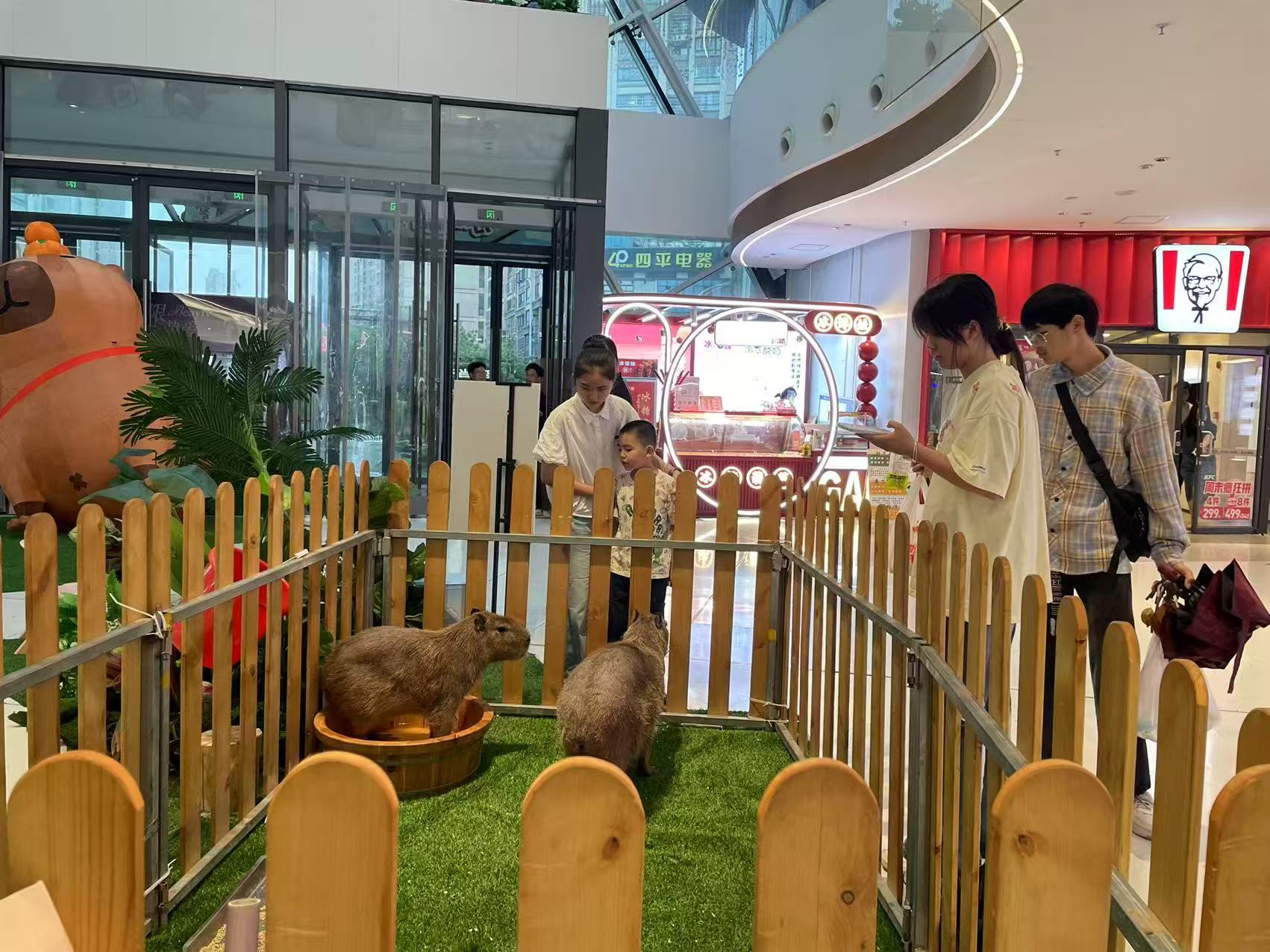 保山施甸采購(gòu)全年齡段適配必看-售后保障