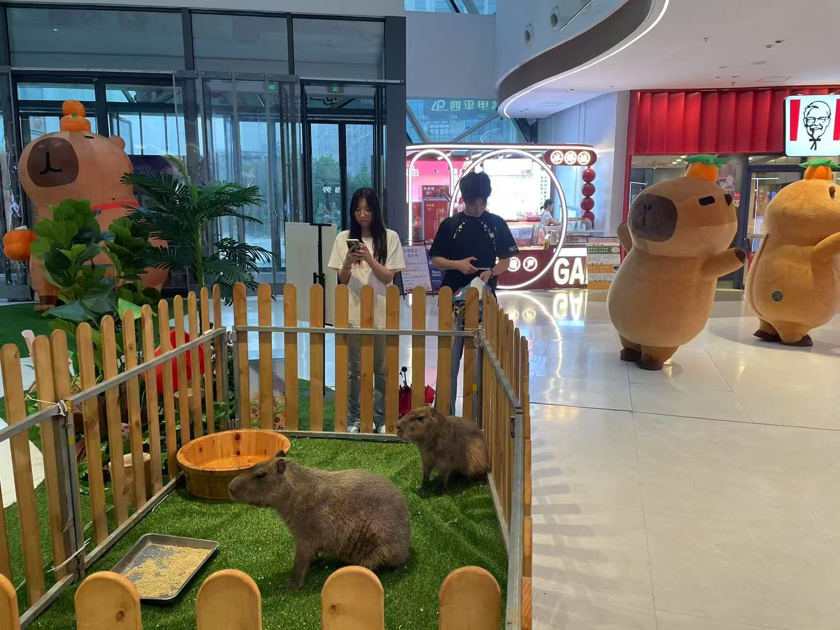 江門檢疫標(biāo)準(zhǔn)、檢疫標(biāo)準(zhǔn)廠家-發(fā)貨及時(shí)