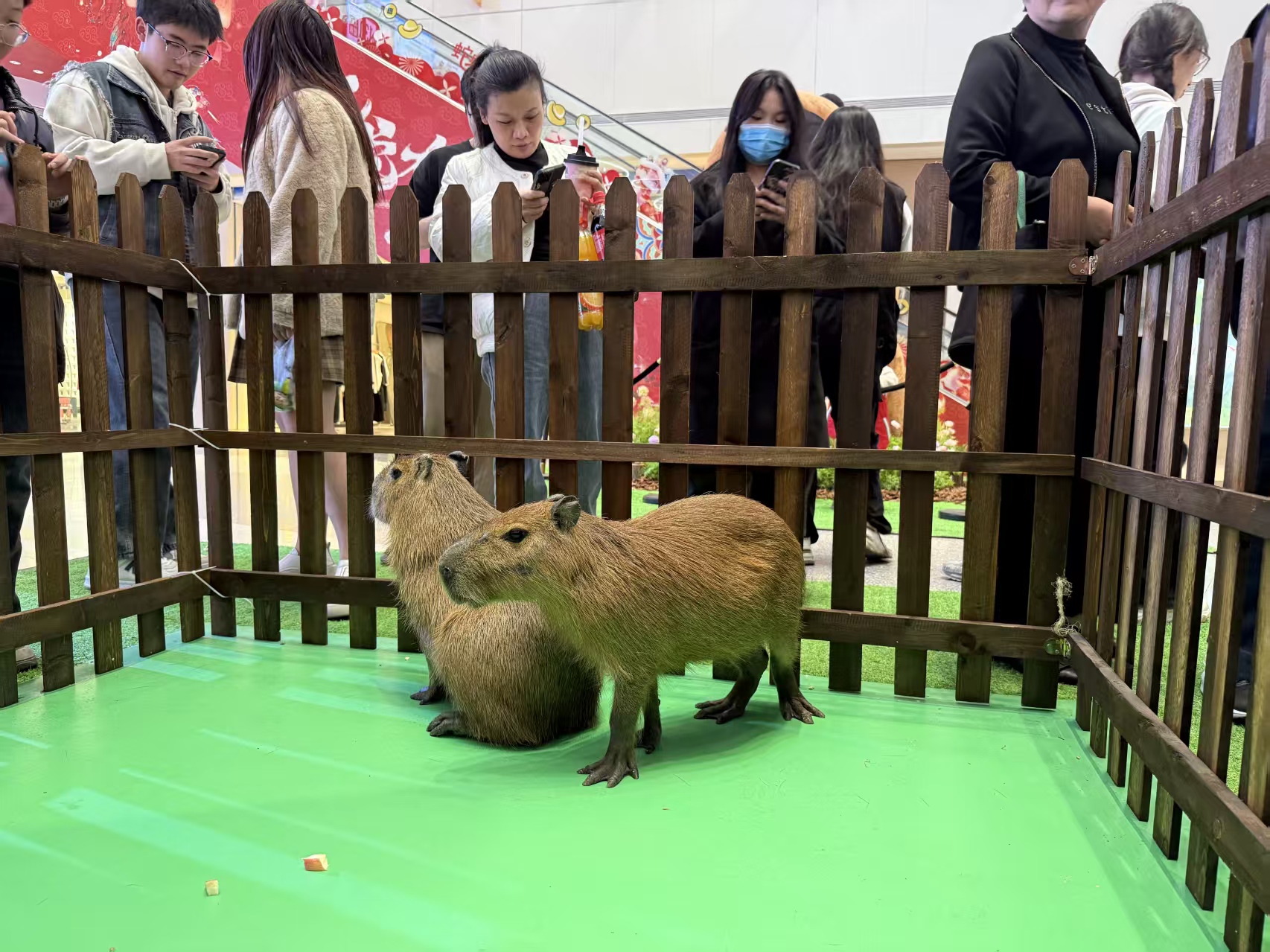 批發(fā)養(yǎng)殖基地的當(dāng)?shù)貜S家