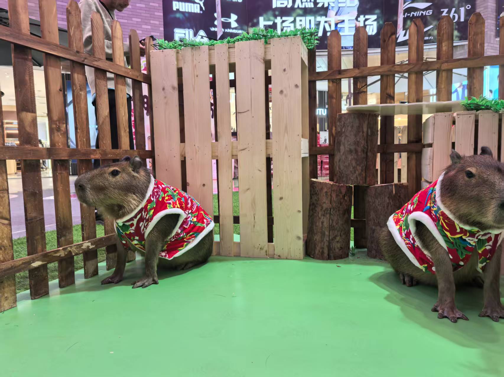 上海寶山靠譜的策劃廠家