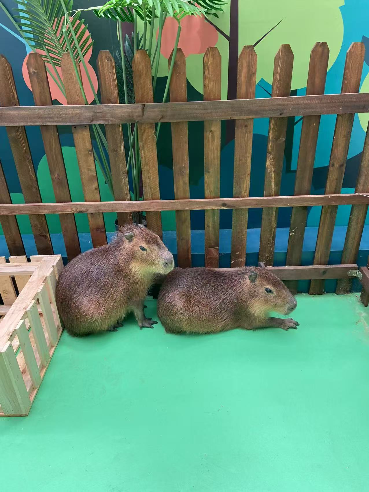 宜昌西陵檢疫標(biāo)準(zhǔn)用途分析