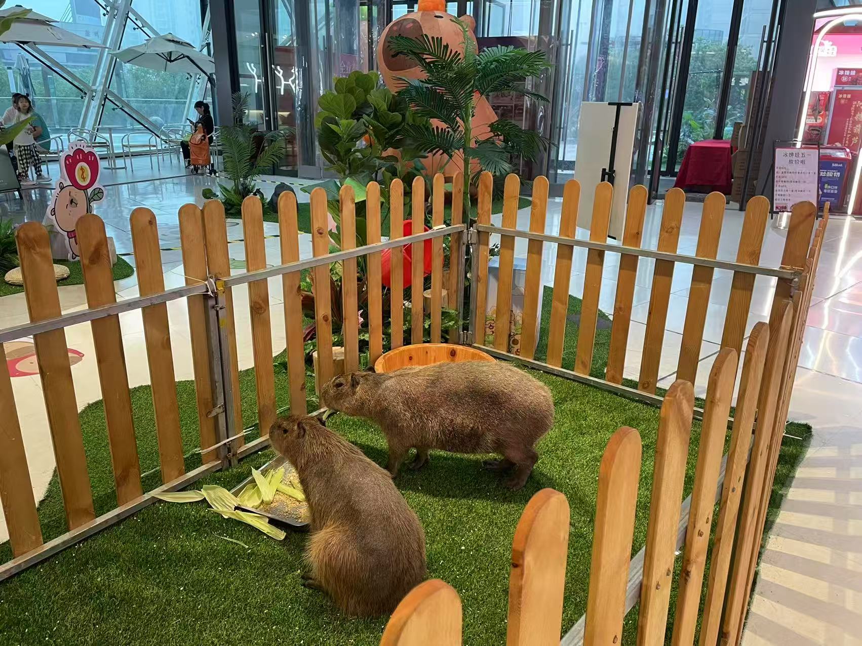 質(zhì)優(yōu)價廉的全年齡段適配基地