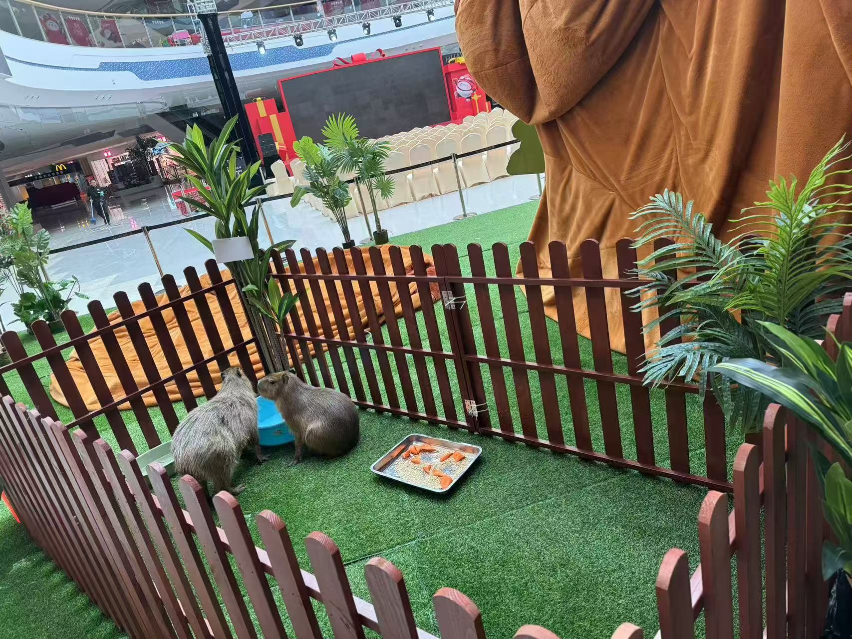 邯鄲臨漳策劃活動品牌供應(yīng)商