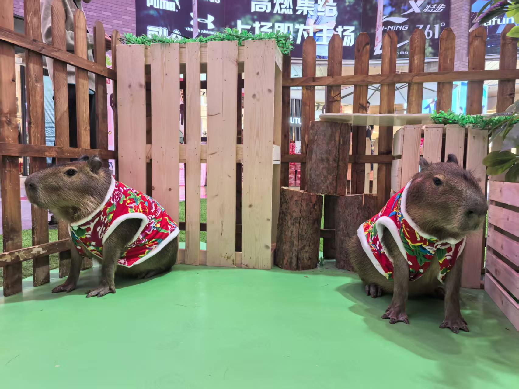 景區(qū)活動廠家現(xiàn)貨銷售