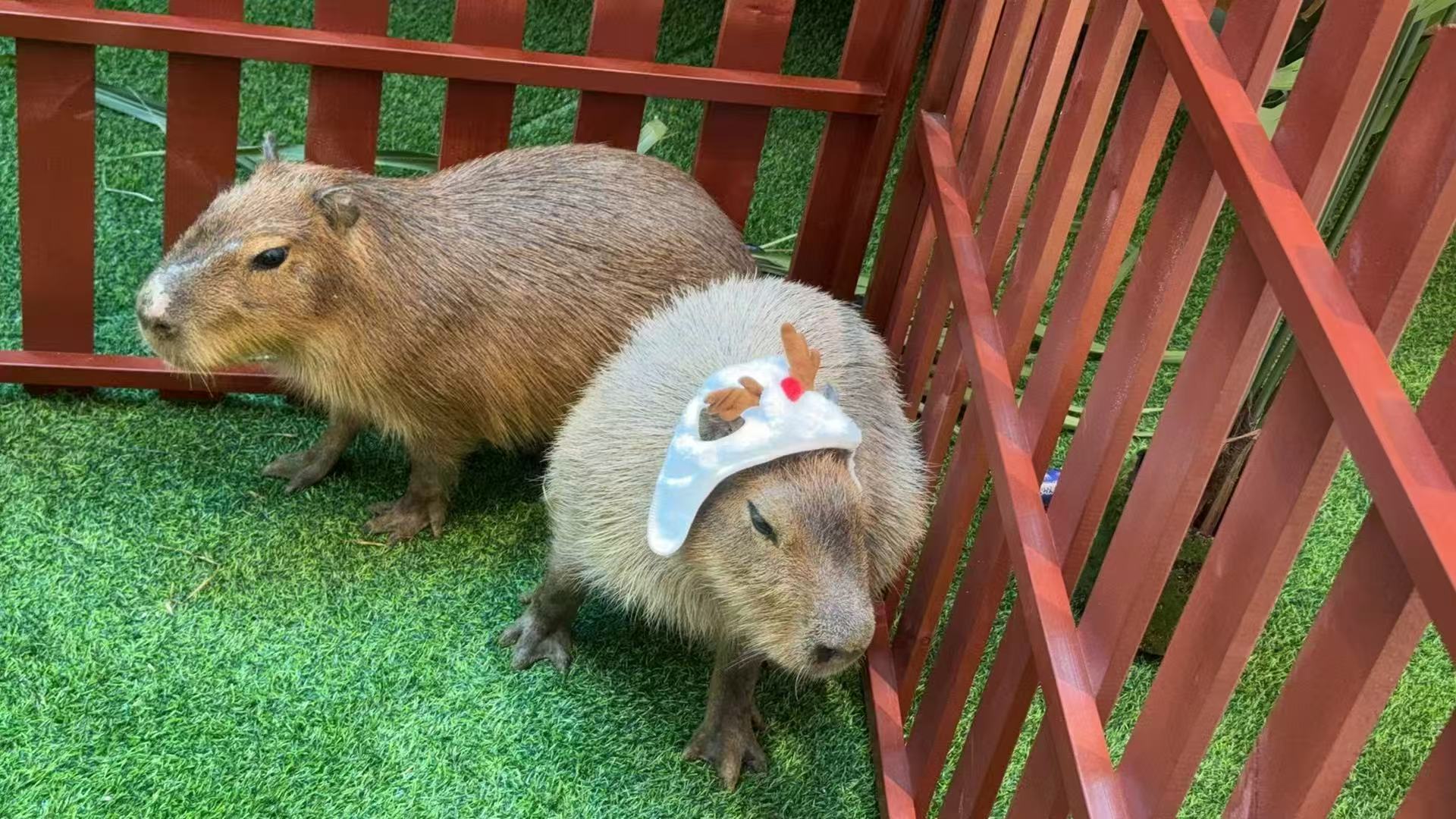 湖州長興養(yǎng)殖基地供貨及時保證工期