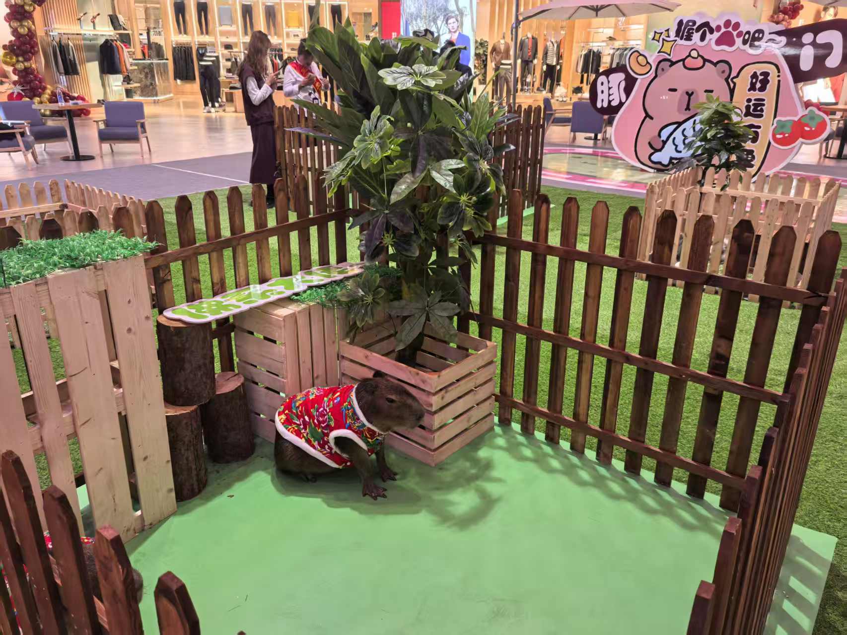 可定制的雅安寶興檢疫標(biāo)準(zhǔn)供應(yīng)商