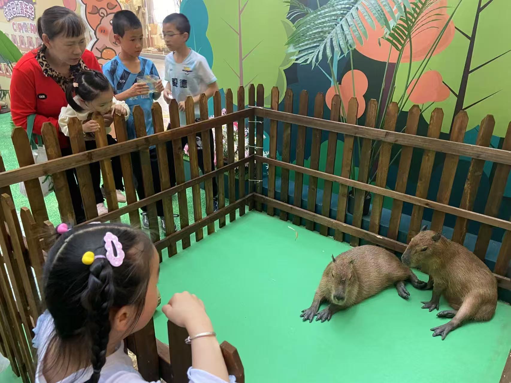 寧德霞浦策劃活動(dòng)-一家專(zhuān)業(yè)的廠家