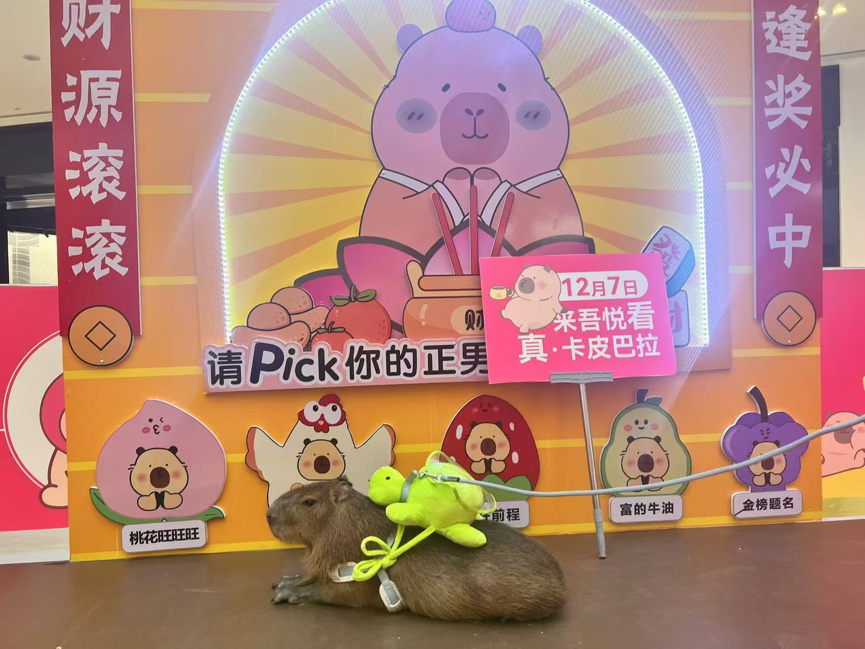 肇慶封開全年齡段適配重口碑廠家