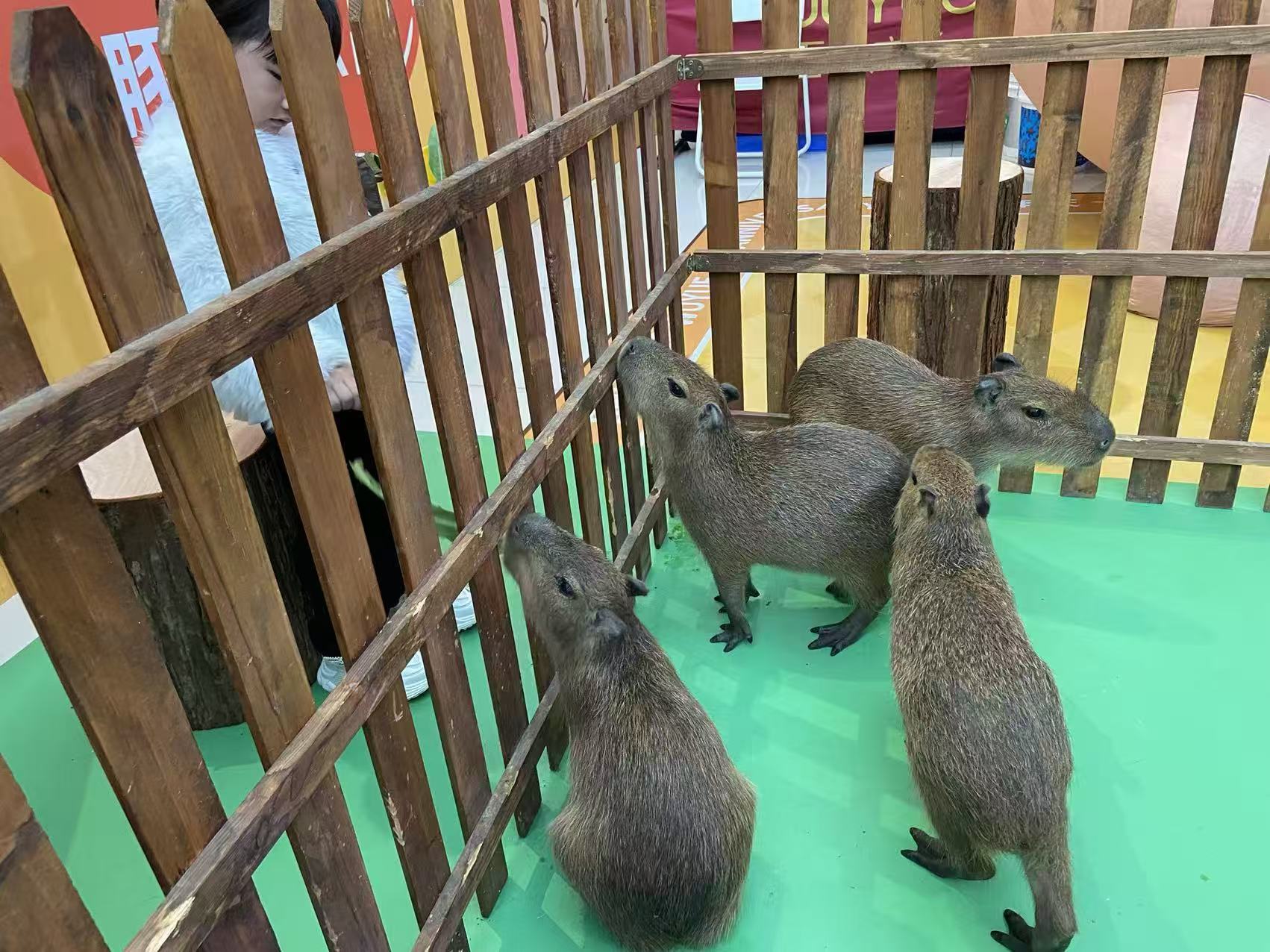 出租優(yōu)勢(shì)供應(yīng)商 出租優(yōu)勢(shì)宜昌廠家