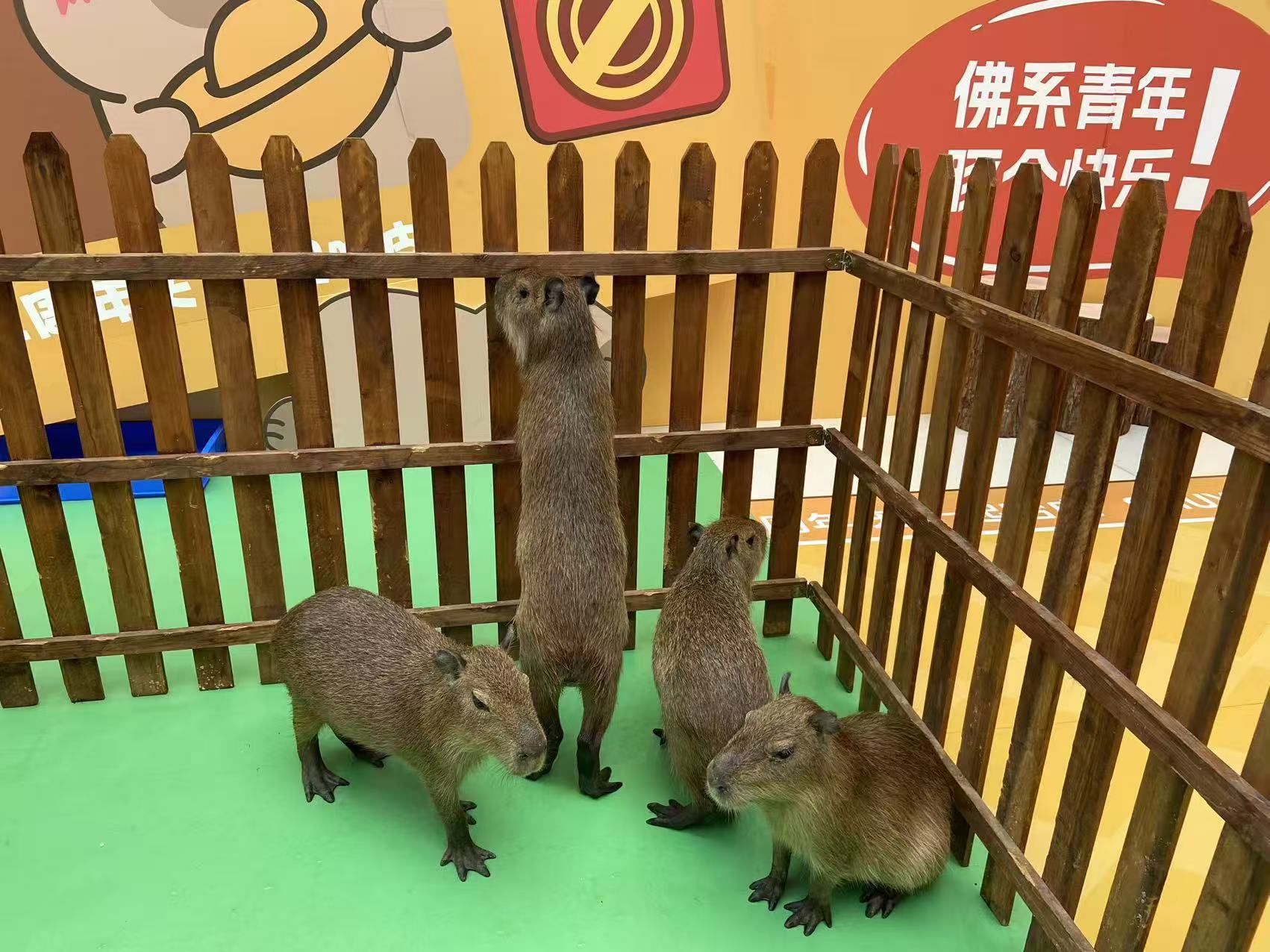 開封禹王臺(tái)全年齡段適配三年質(zhì)保