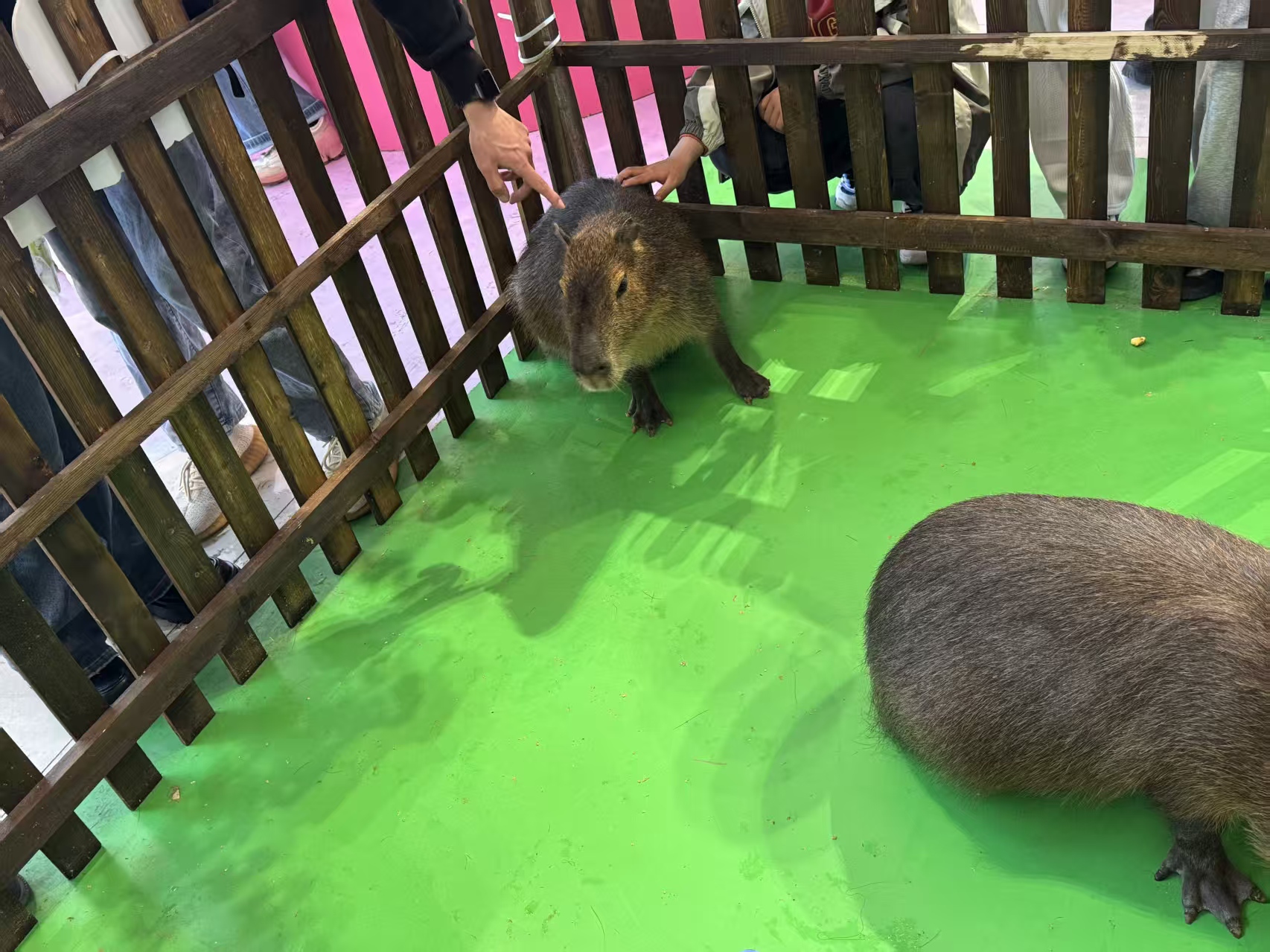 出租優(yōu)勢安裝指導(dǎo)