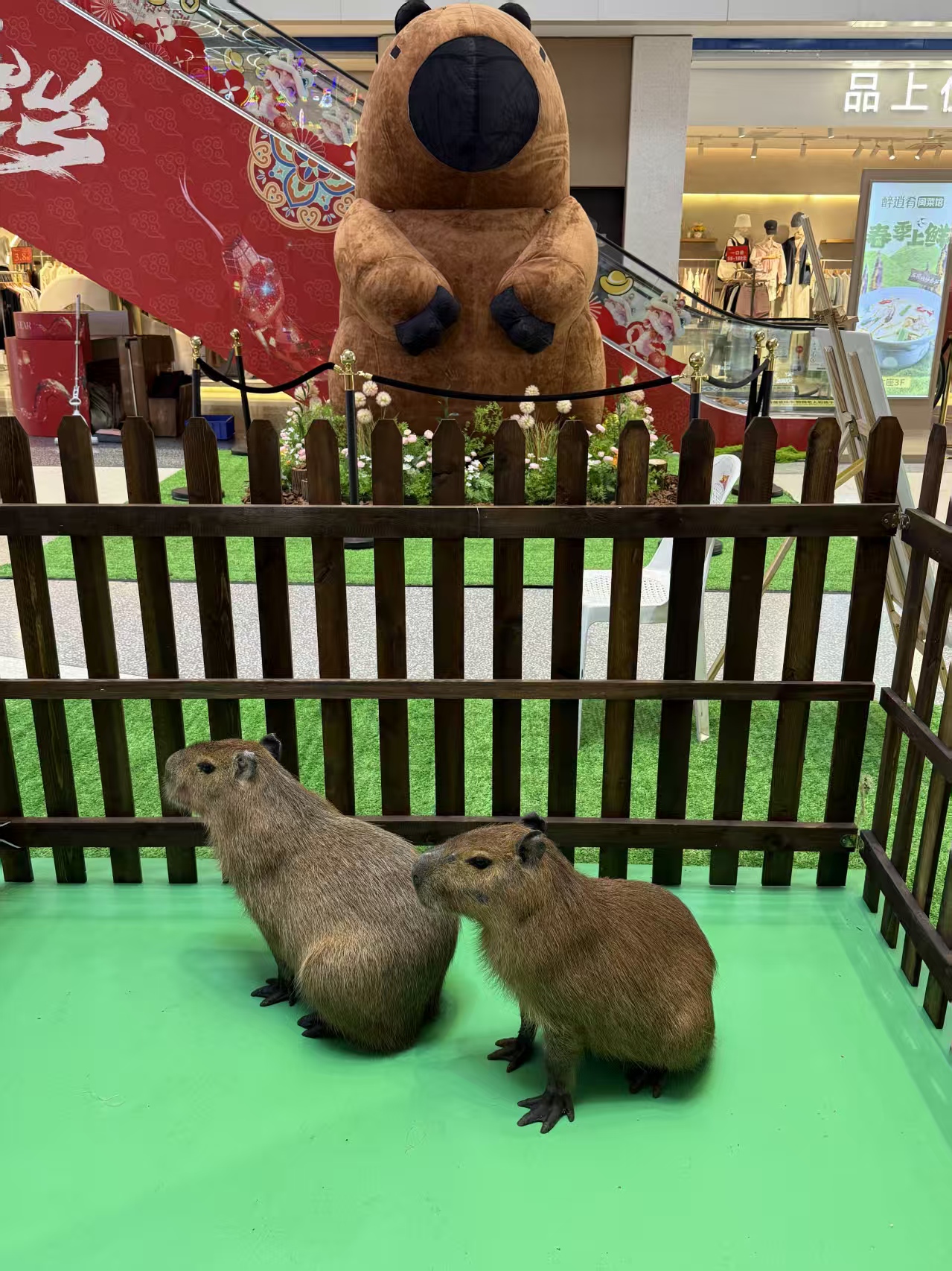 上海松江銷售企業(yè)團(tuán)建的廠家